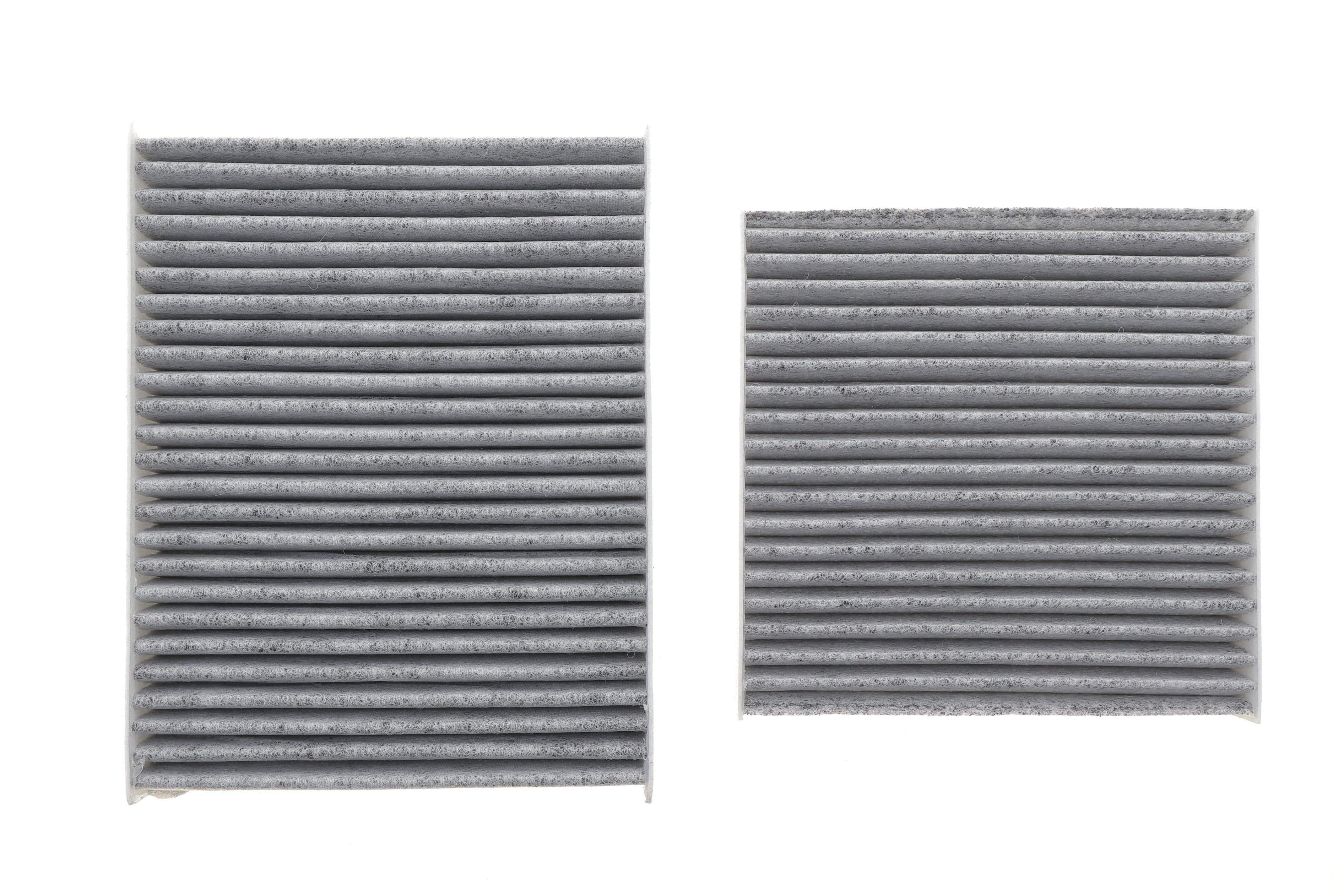 Фільтр салону Citroen C3 09-/C4 Cactus/Peugeot 2008 13-/207 06-15/208 12- (к-кт 2шт.) (вугільний)