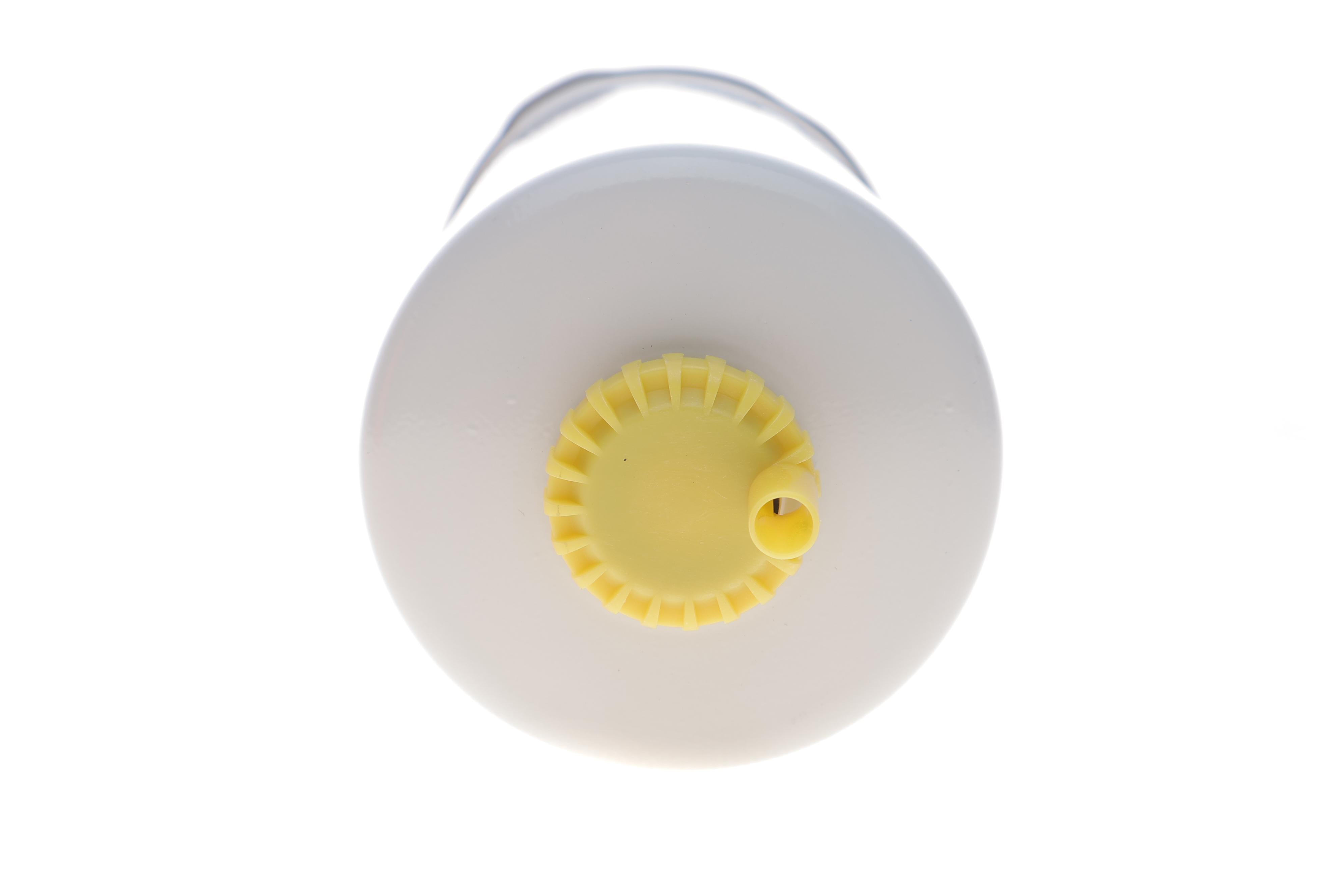 Фільтр паливний Ford Transit V347 06-