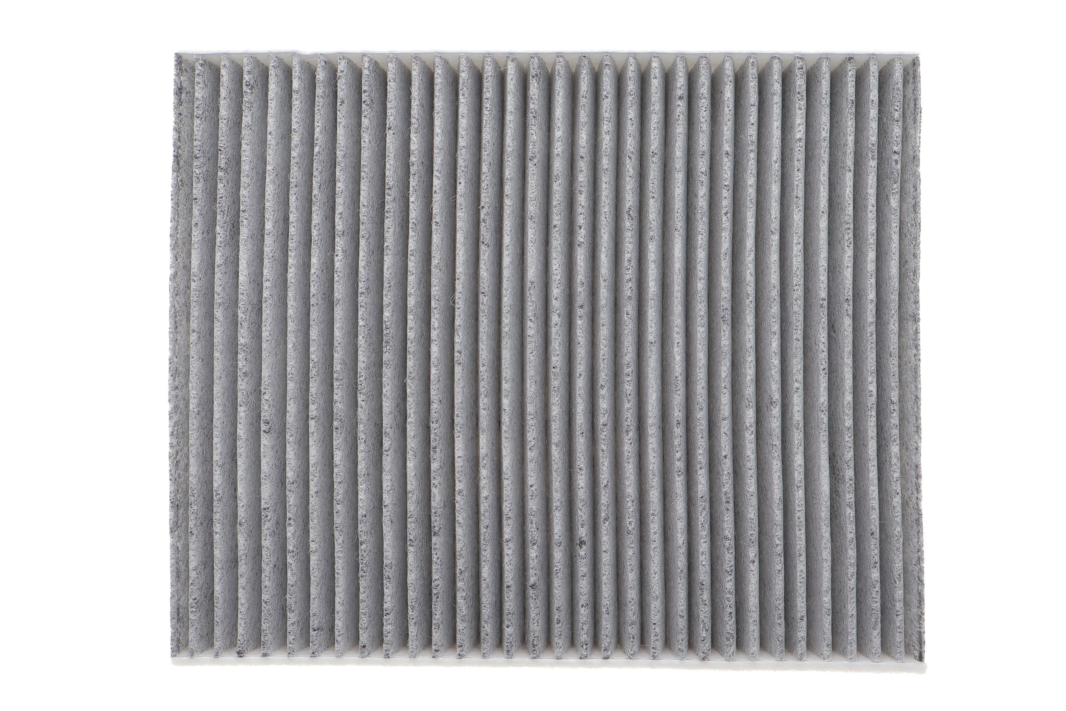 Фільтр салону BMW 5 (F10)/7 (F01) 2.0-6.0 08- (вугільний) (к-кт 2 шт.)