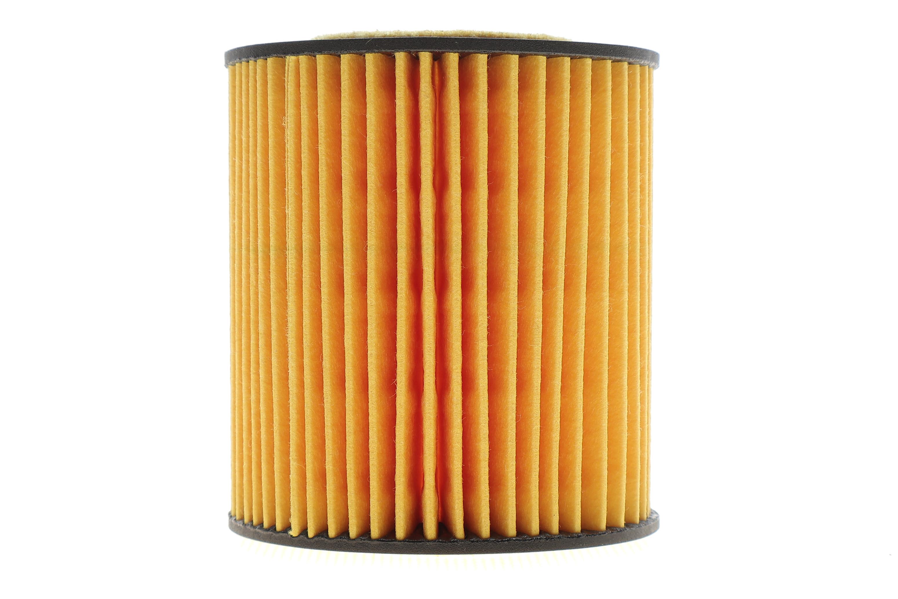 Фільтр масляний BMW 3 (E46/E90) /5 (E60) 1.6/2.0/1.8/2.0 N42/N43/N45/N46