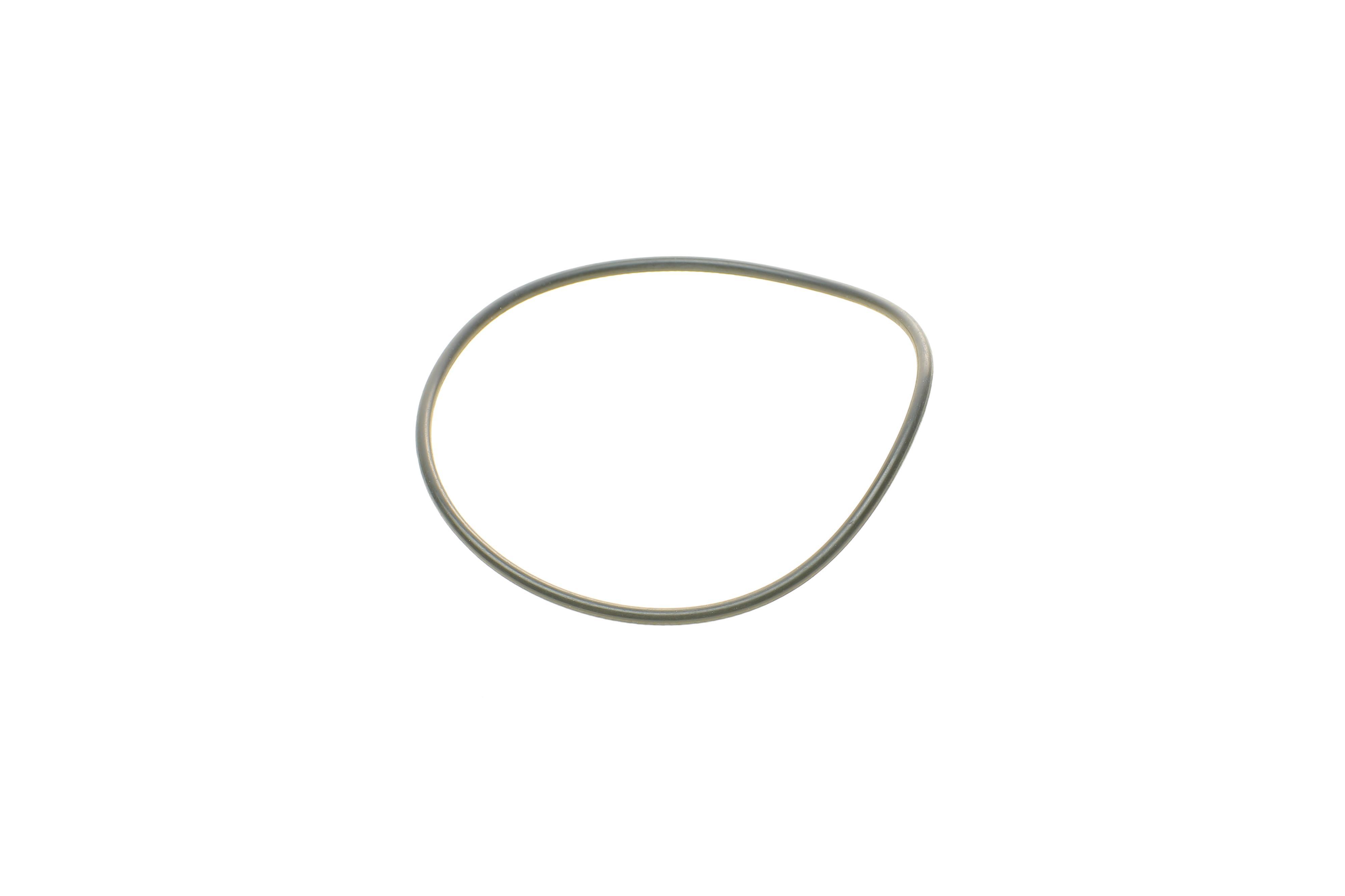 Фільтр паливний Renault Kangoo/Dokker/Duster/Logan 1.5dci 10- (к-кт)