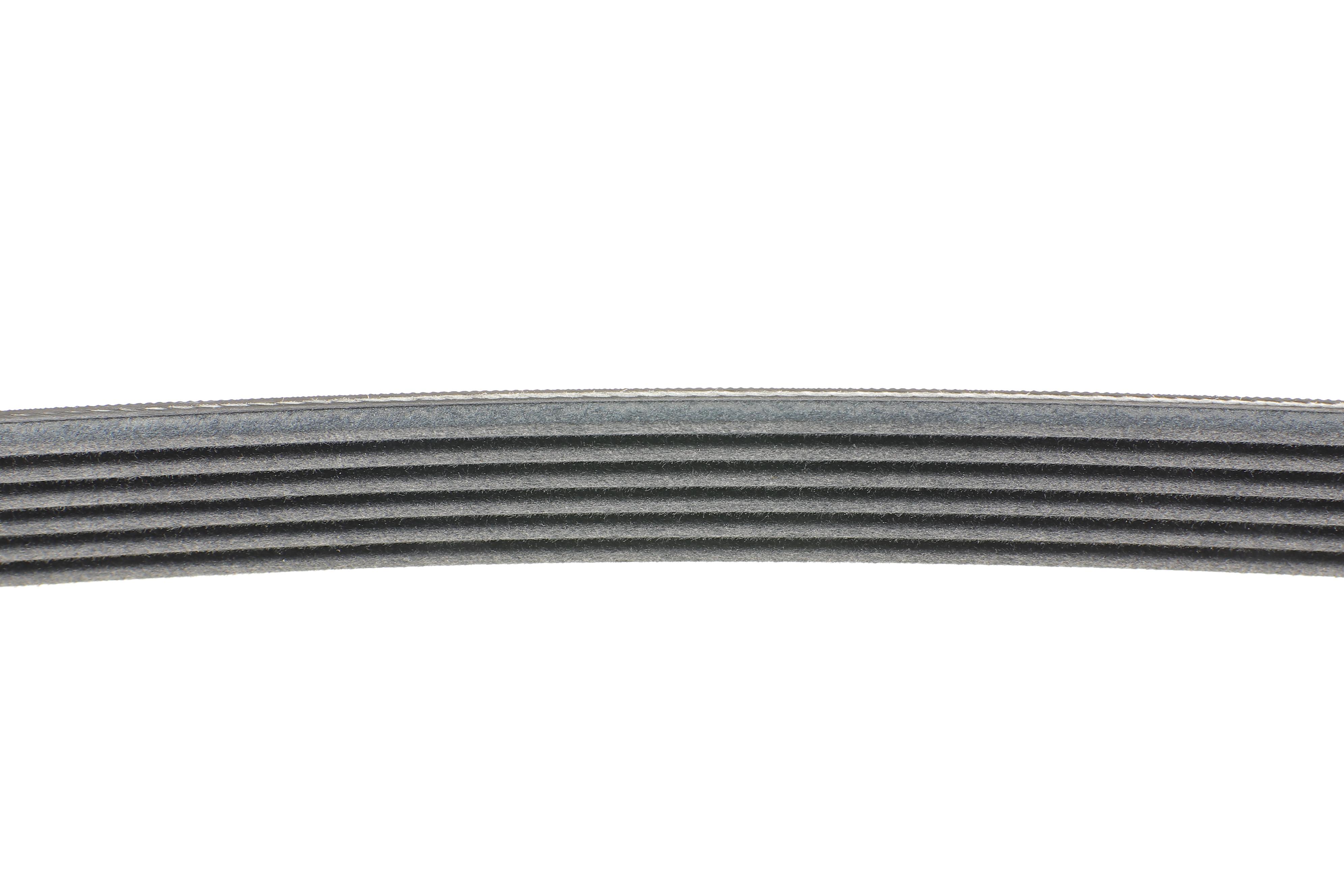 Ремінь генератора VW Golf III/Passat/Caddy 1.9/2.0TDI/SDI 03-10/Skoda Octavia/Superb 1.9/2.0TD 04-15