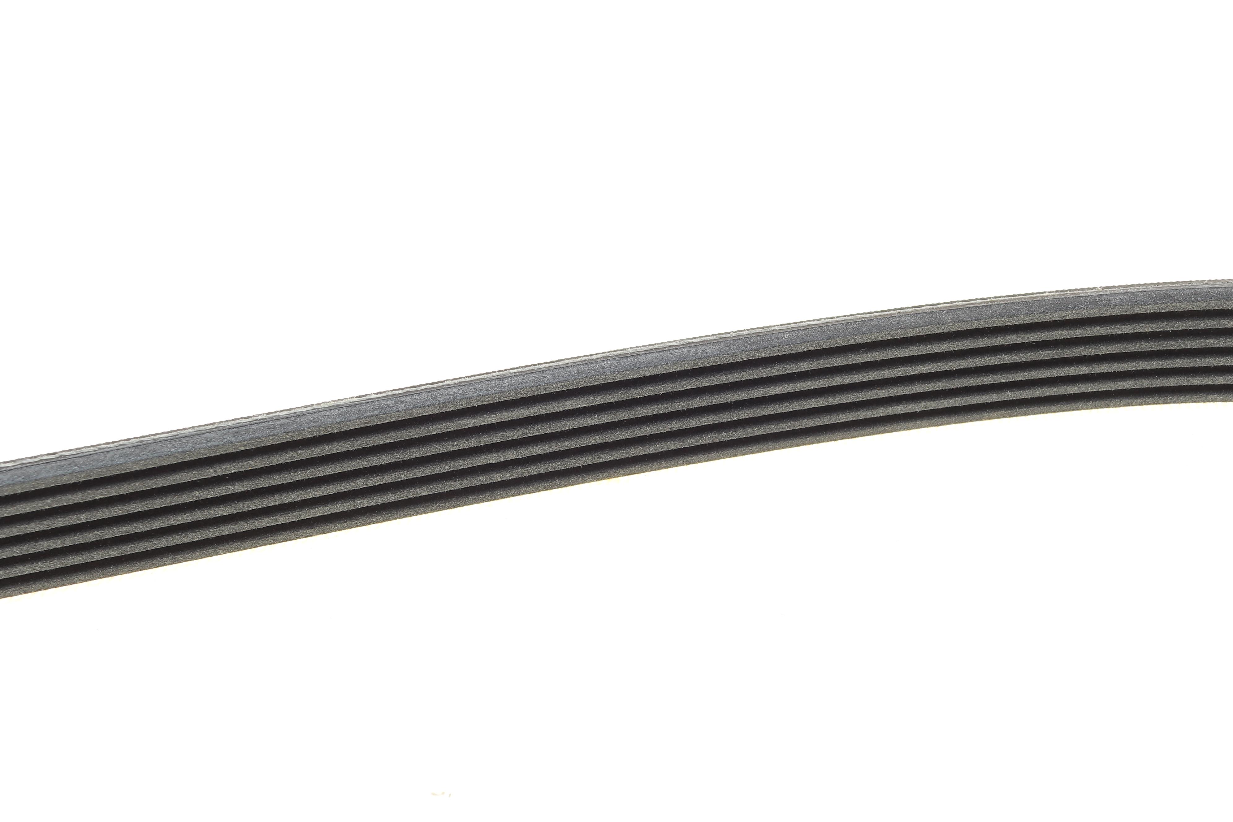 Ремінь генератора Renault Kangoo 1.5dCi 13-/Nissan Micra 1.5 DCI 16-