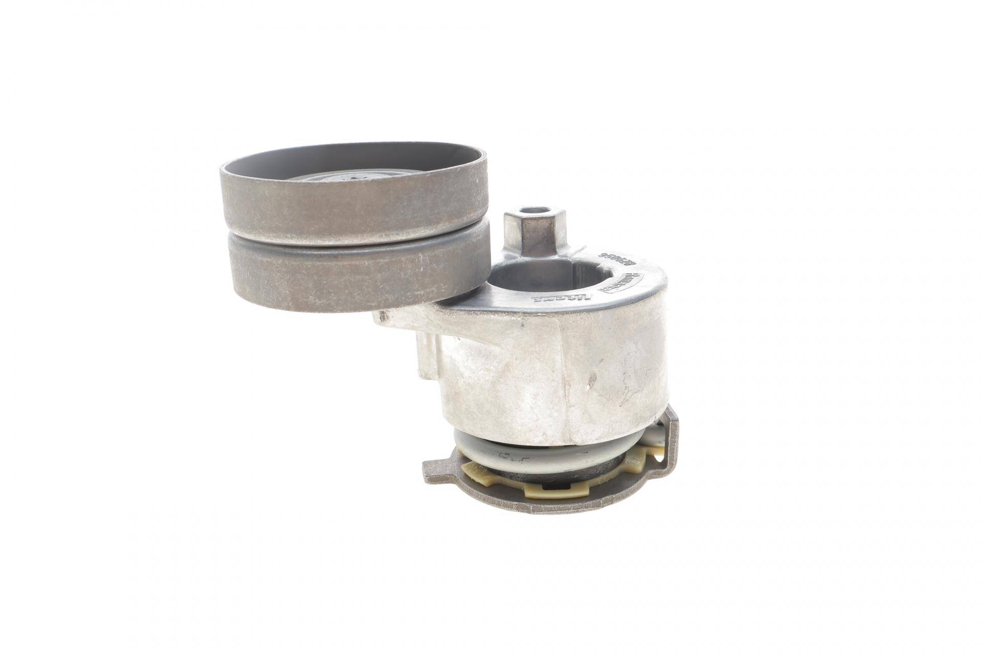 Натяжник ременя генератора Renault Scenic/Megane II/III 1.9dCi/2.0 16V 03-, F9Q/F4R