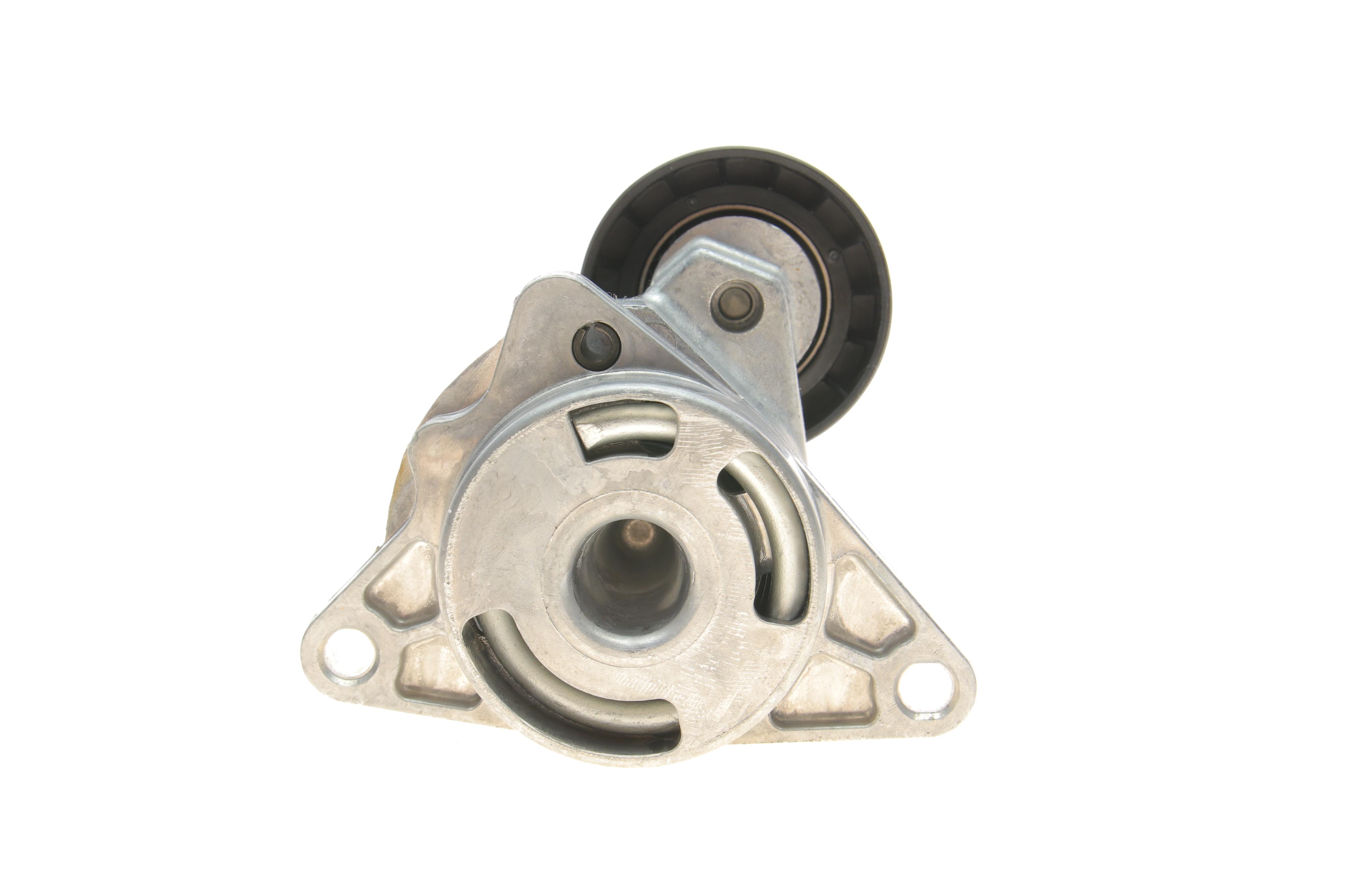 Натяжник ременя генератора Renault Master/Trafic 2.2-2.5dCi 02- (60x31)