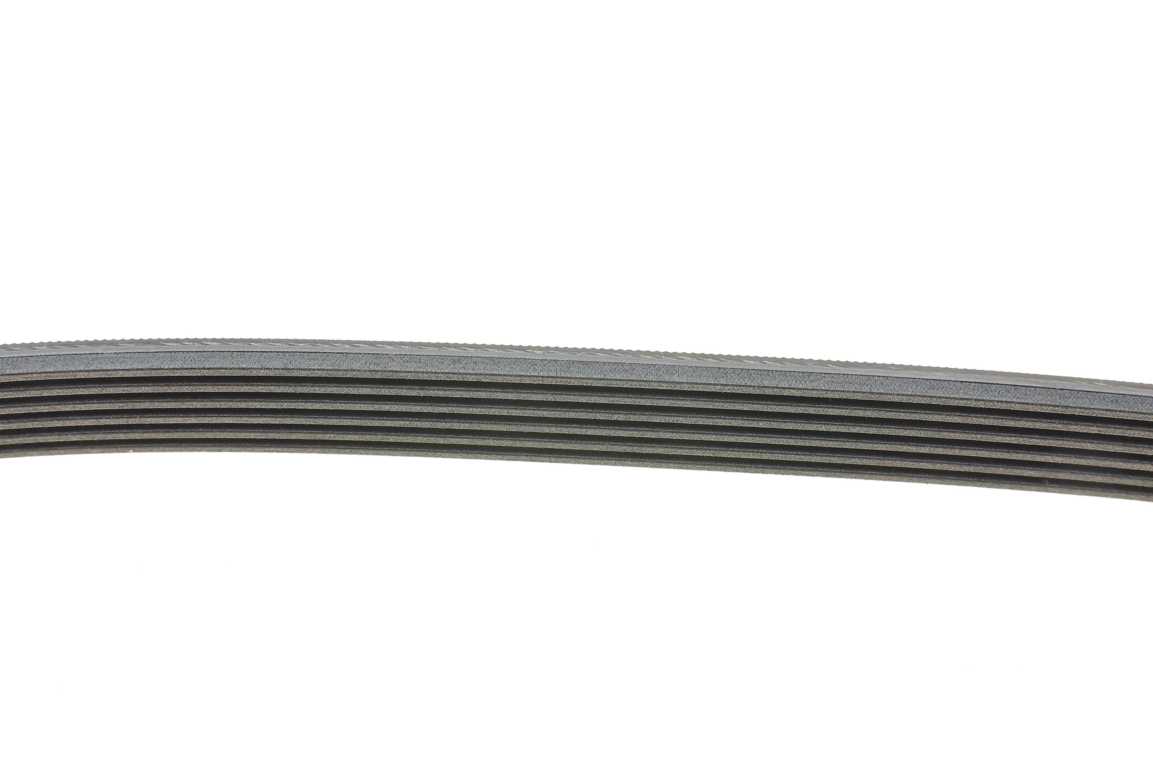 Ремінь генератора VW Crafter 2.5TDI 06-13/MB C-class (W204)/E-class (W212) 2.2CDI 09-15