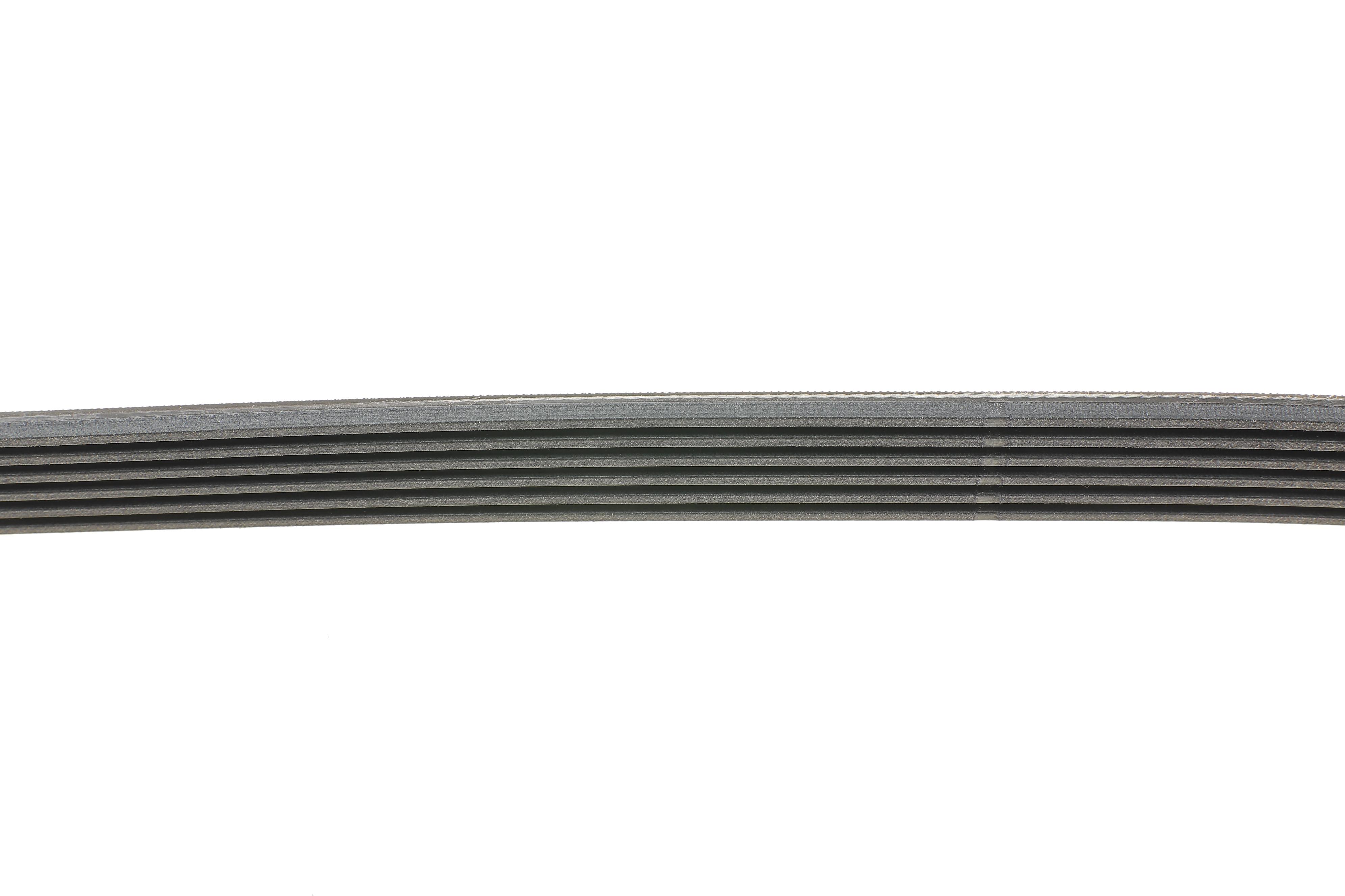 Ремінь генератора Fiat Ducato 2.0JTD 01- (ALT)