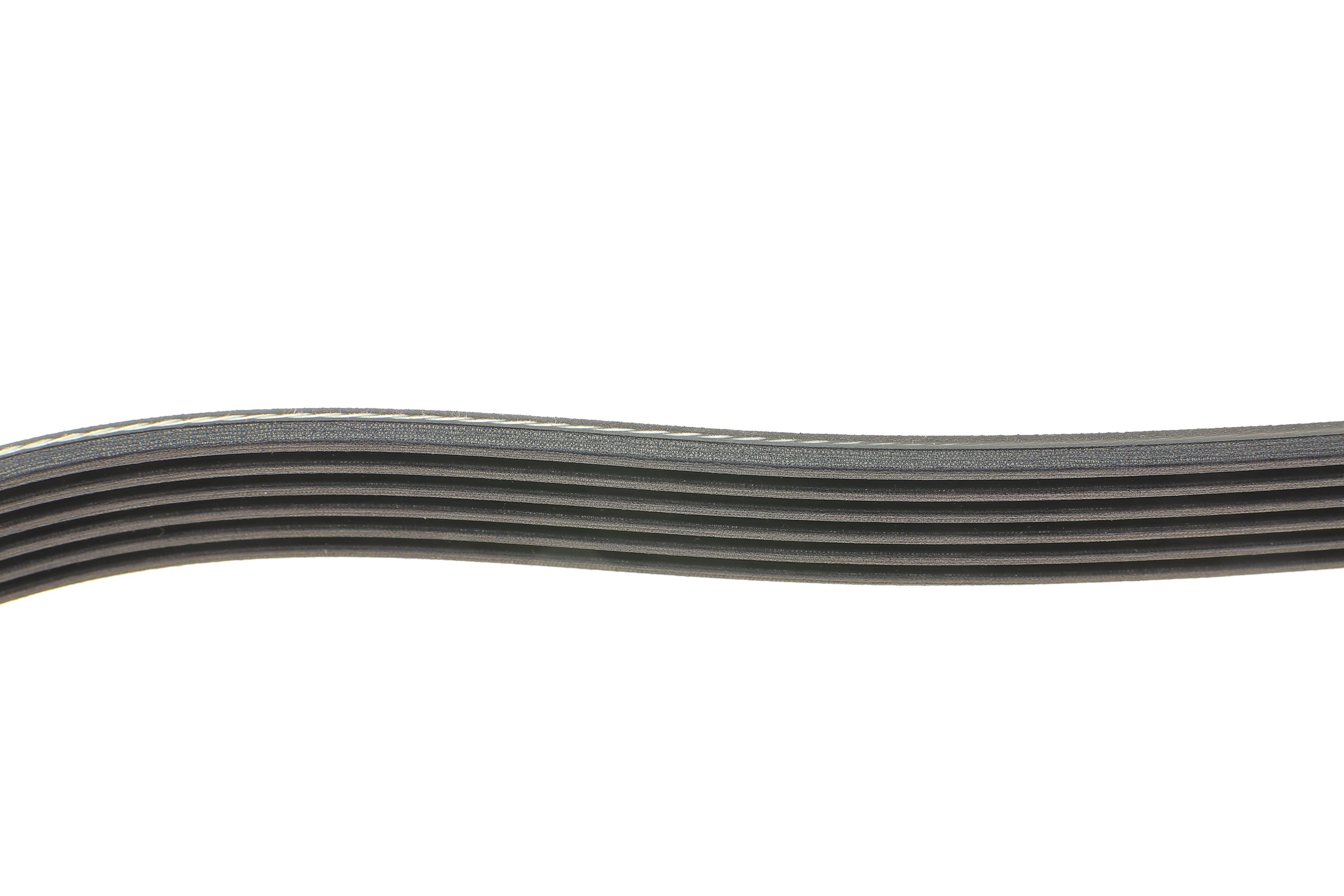 Ремінь генератора Citroen Jumper 1.9TD 94-02 (ALT,PS)