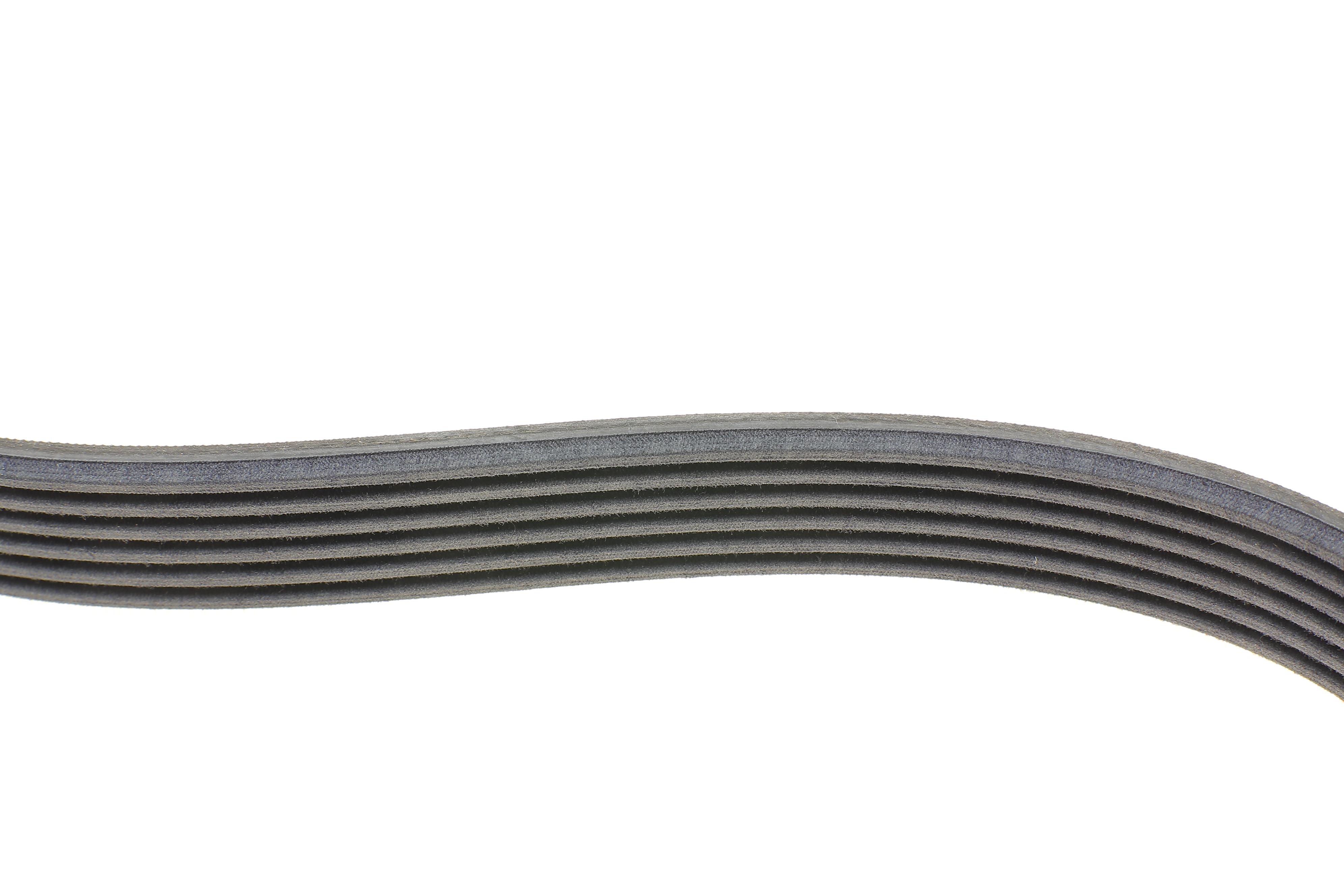 Ремінь генератора Ford Focus 1.4/1.6i 03-/Volvo C30/S40/V50 1.6 05-12 (6PK1059 ELAST+5PK868 ELAST)