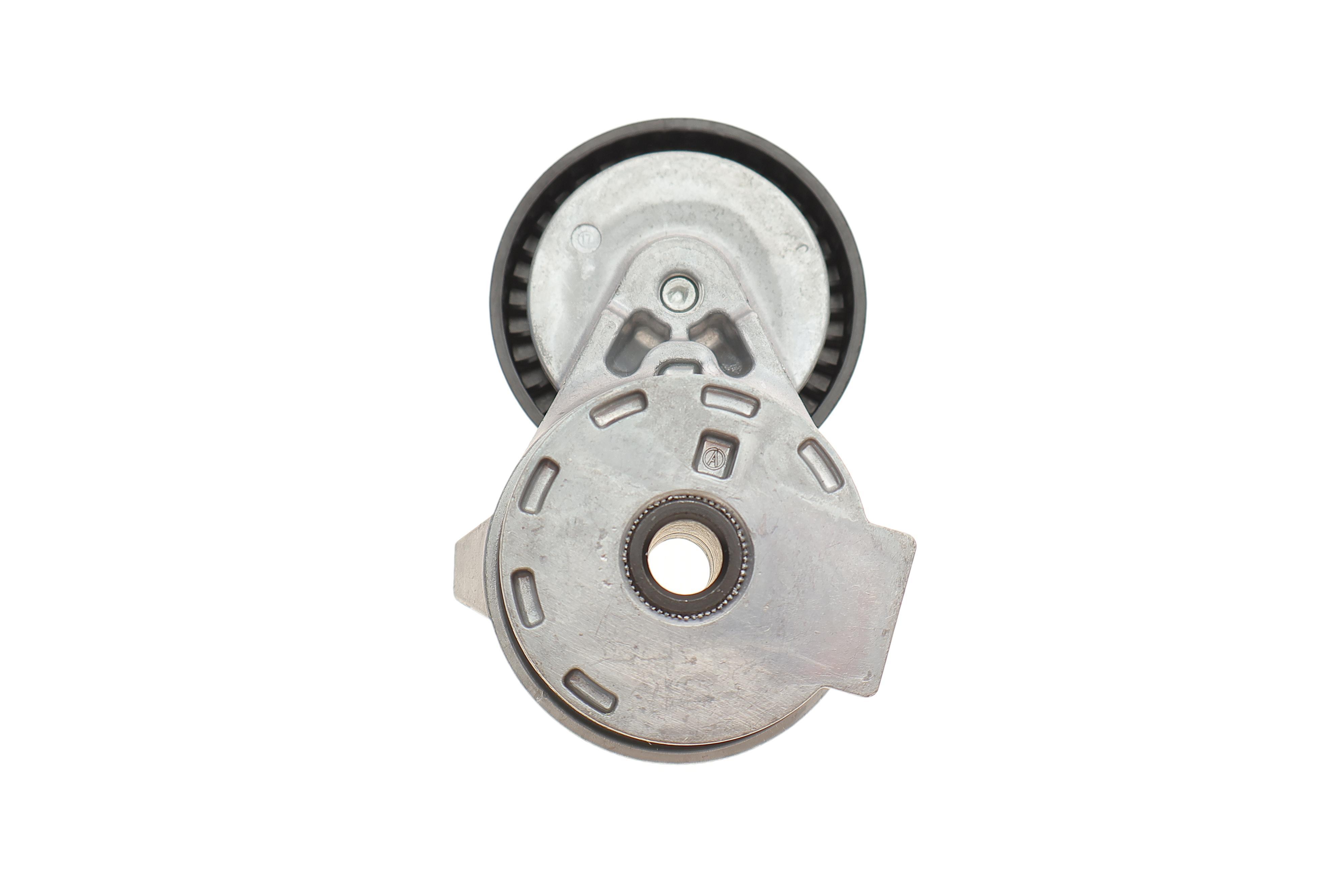 Натяжник ременя генератора Renault Kangoo 1.5dCi 09-