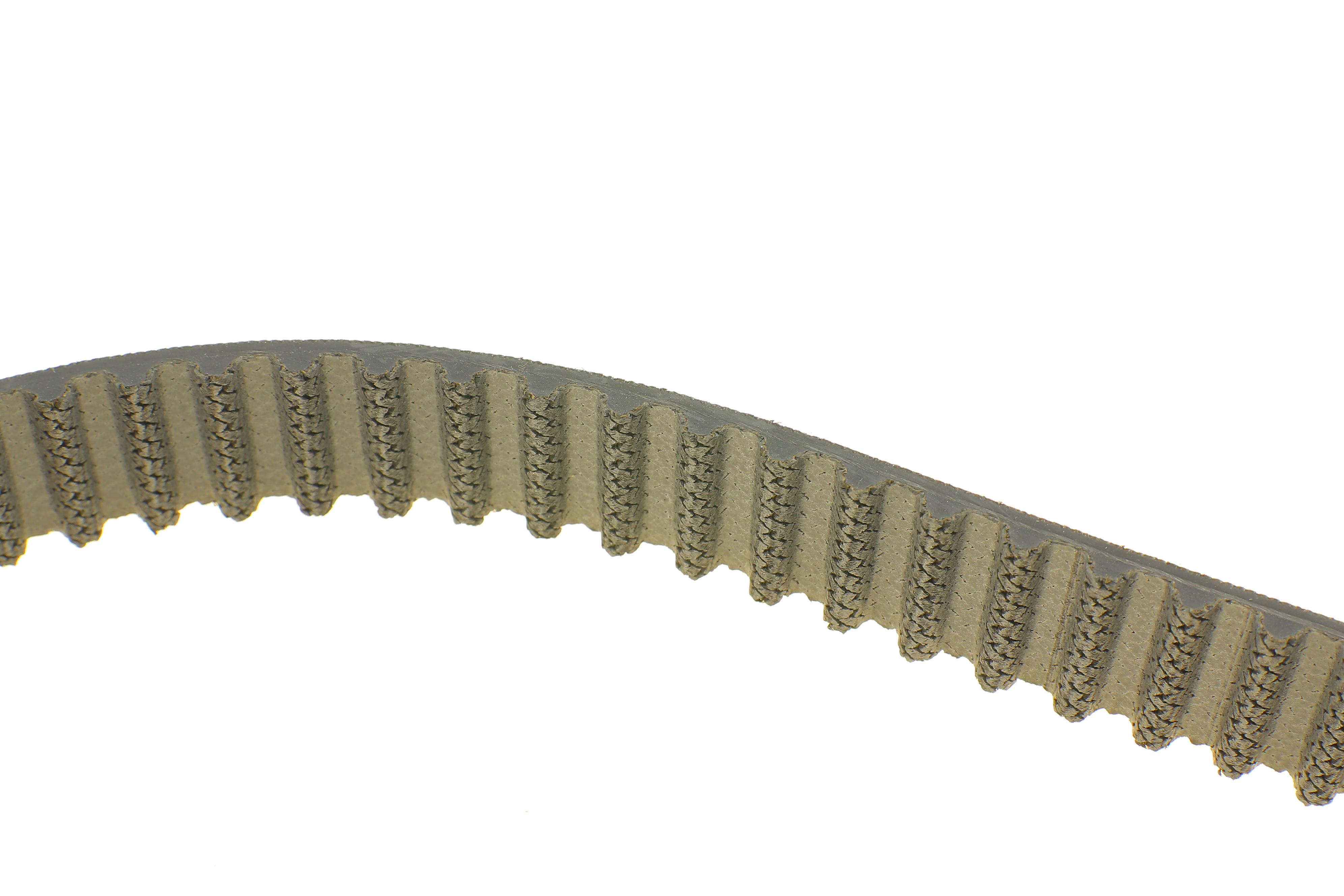 Комплект ГРМ + помпа VW T6/Golf/Passat/Caddy 1.6/2.0 TDI 15- (145x25)(помпа P669)