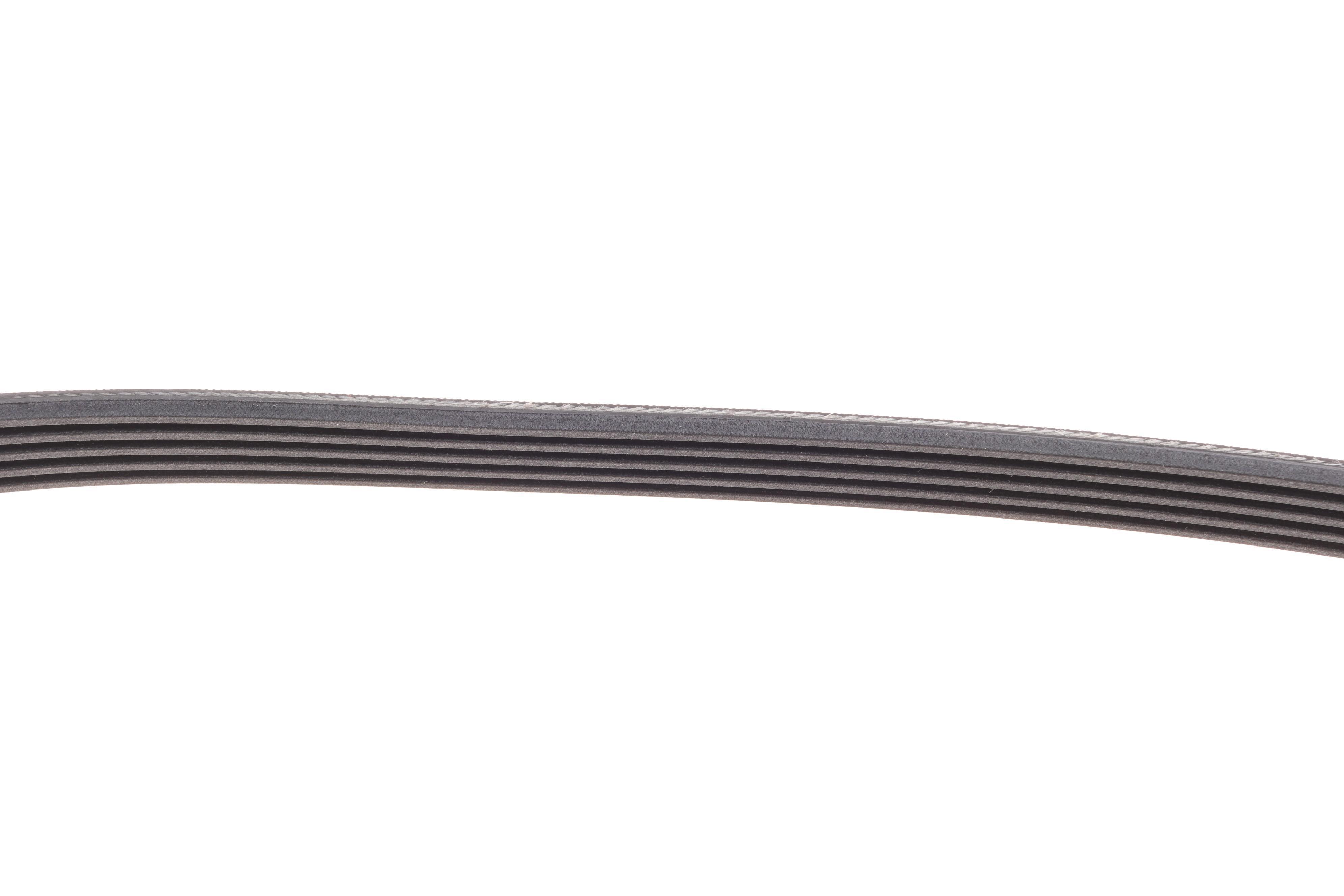 Ремінь генератора BMW 5 (E34)/7 (E38)/Citroen BX/Daewoo Lanos/Nexia 85-01(5PK975)