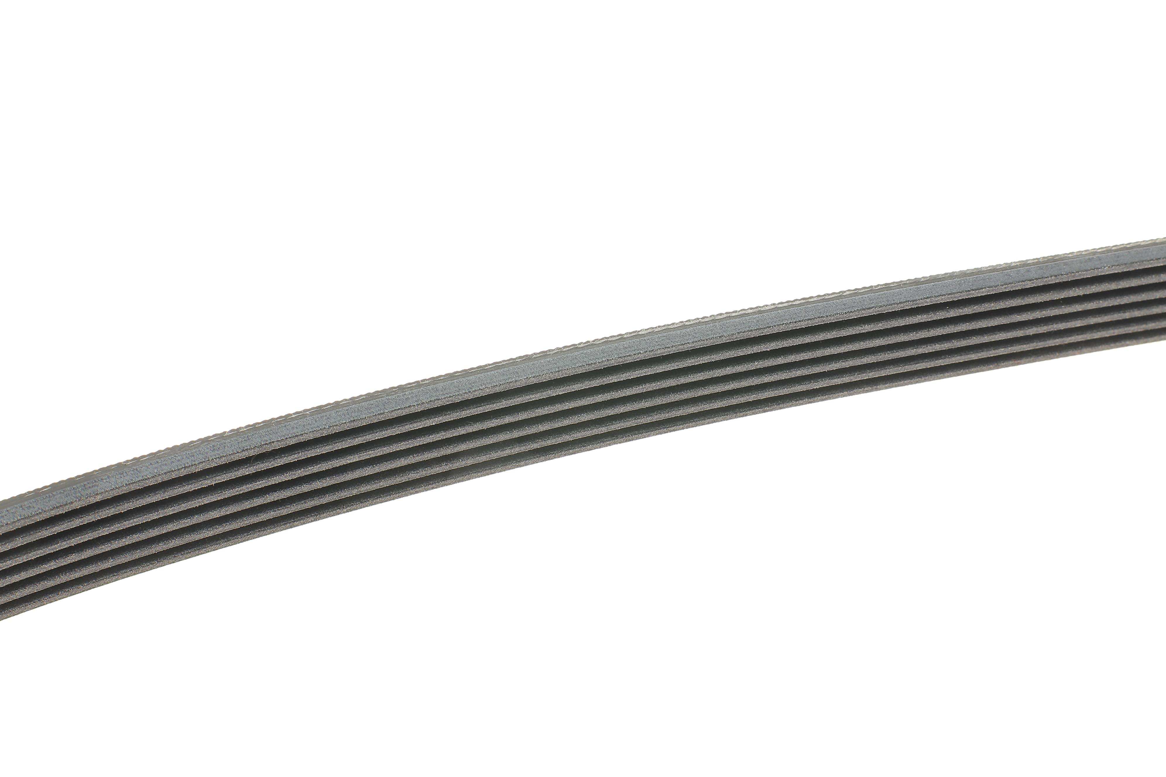 Ремінь генератора Ford Transit 1.6TDCI 13-