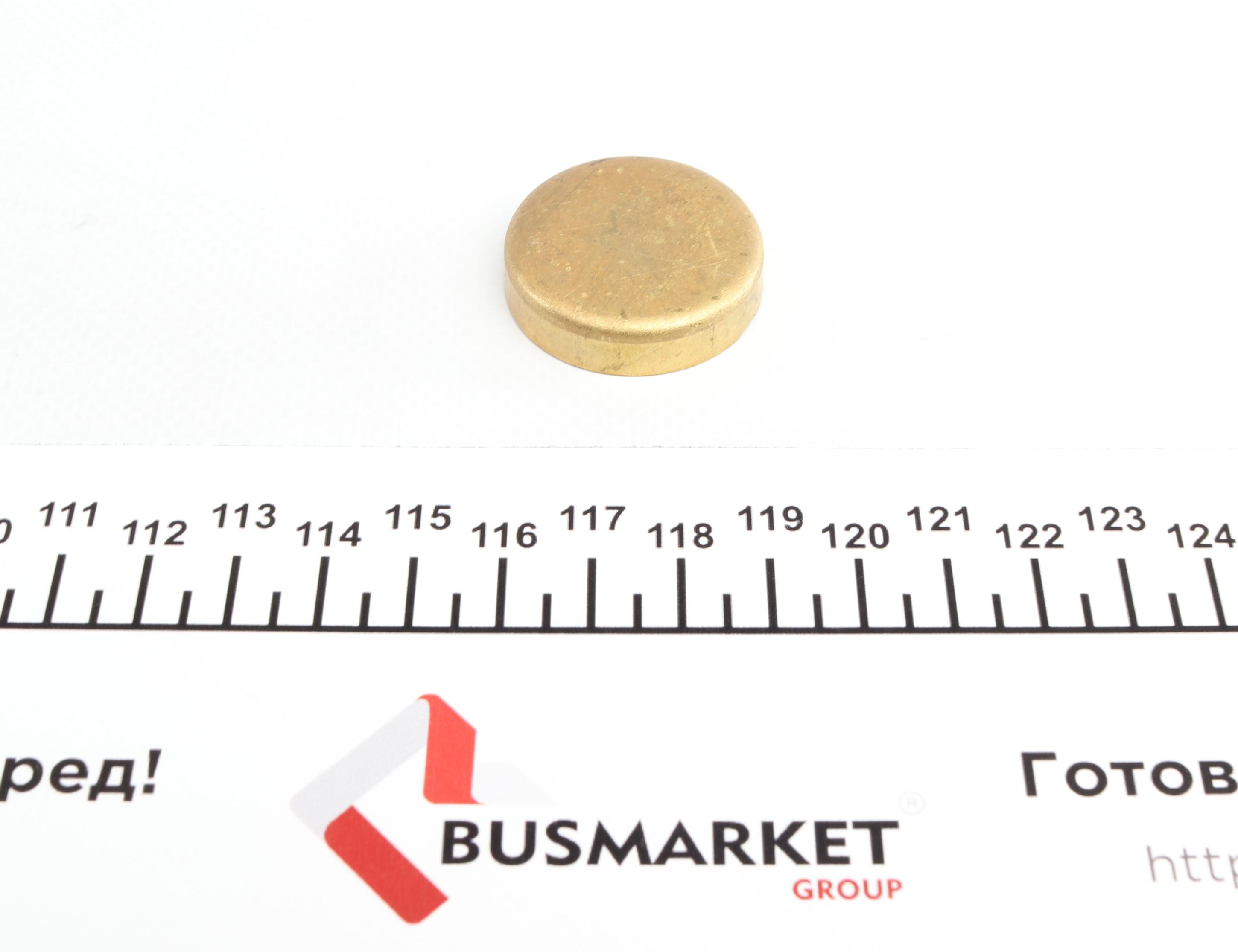 Заглушка блоку циліндрів (d=32,6mm) Латунь/Brass