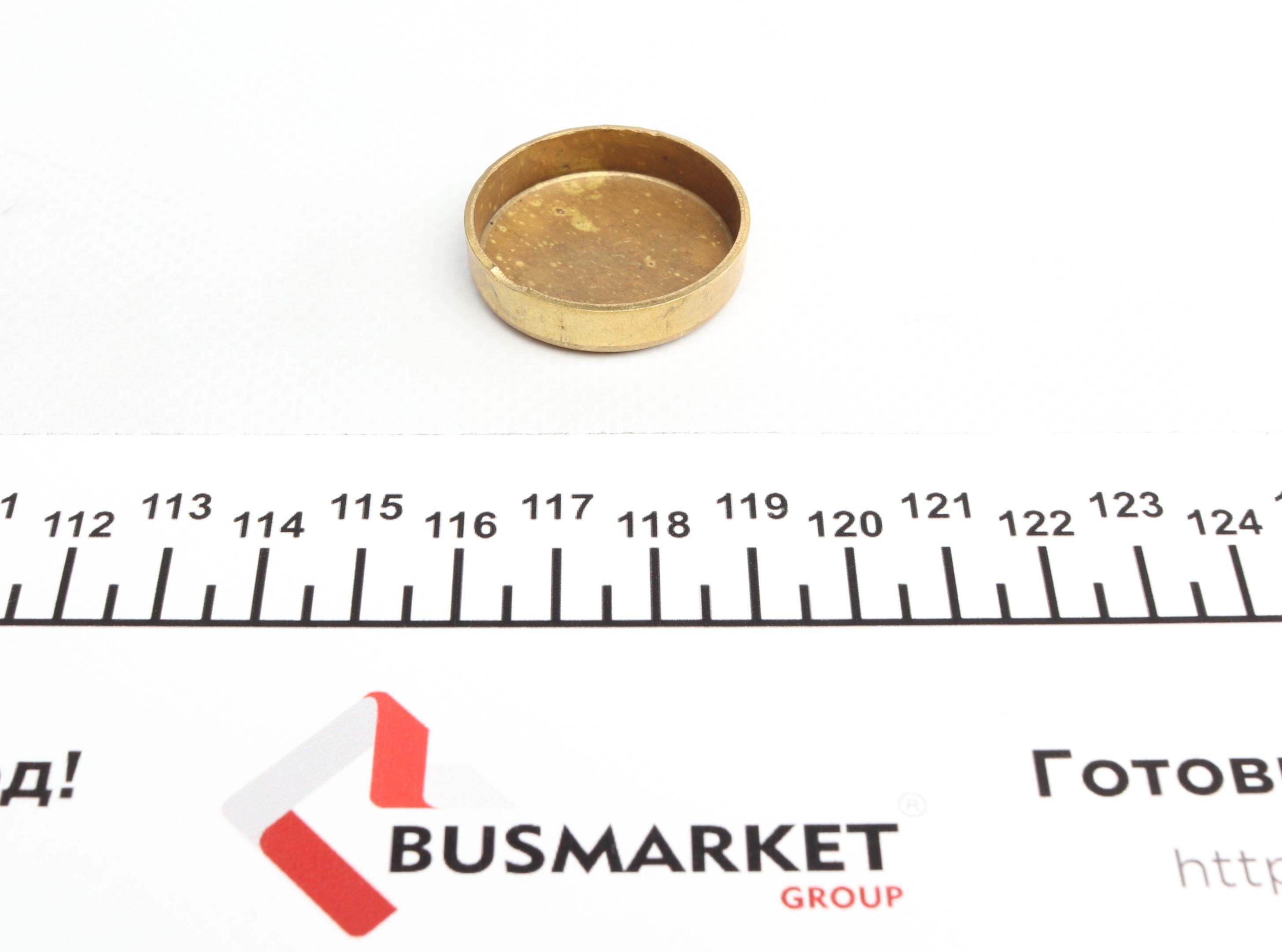 Заглушка блоку циліндрів (d=32,6mm) Латунь/Brass