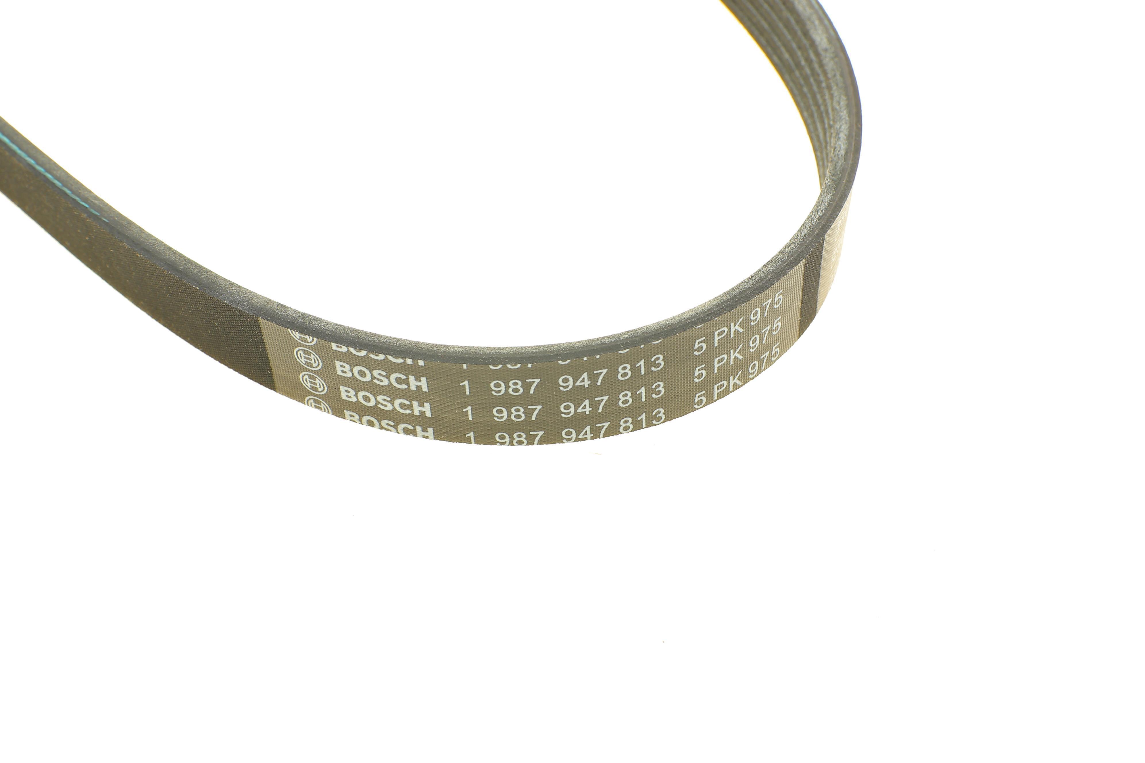 Ремінь генератора поліклиновий BMW 5 (E34)/7 (E38)/Citroen BX/Daewoo Lanos/Nexia 85-01(5PK975)