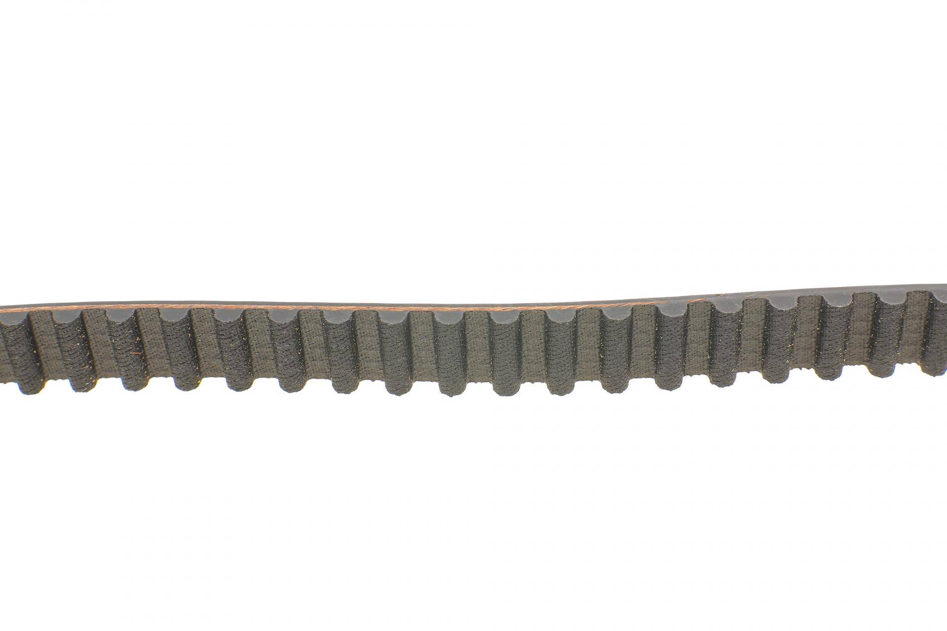 Комплект ГРМ Renault Clio/Kangoo/Megane 1.4/1.6i 97-/Dacia Logan/Sandero 04- (19x96z)