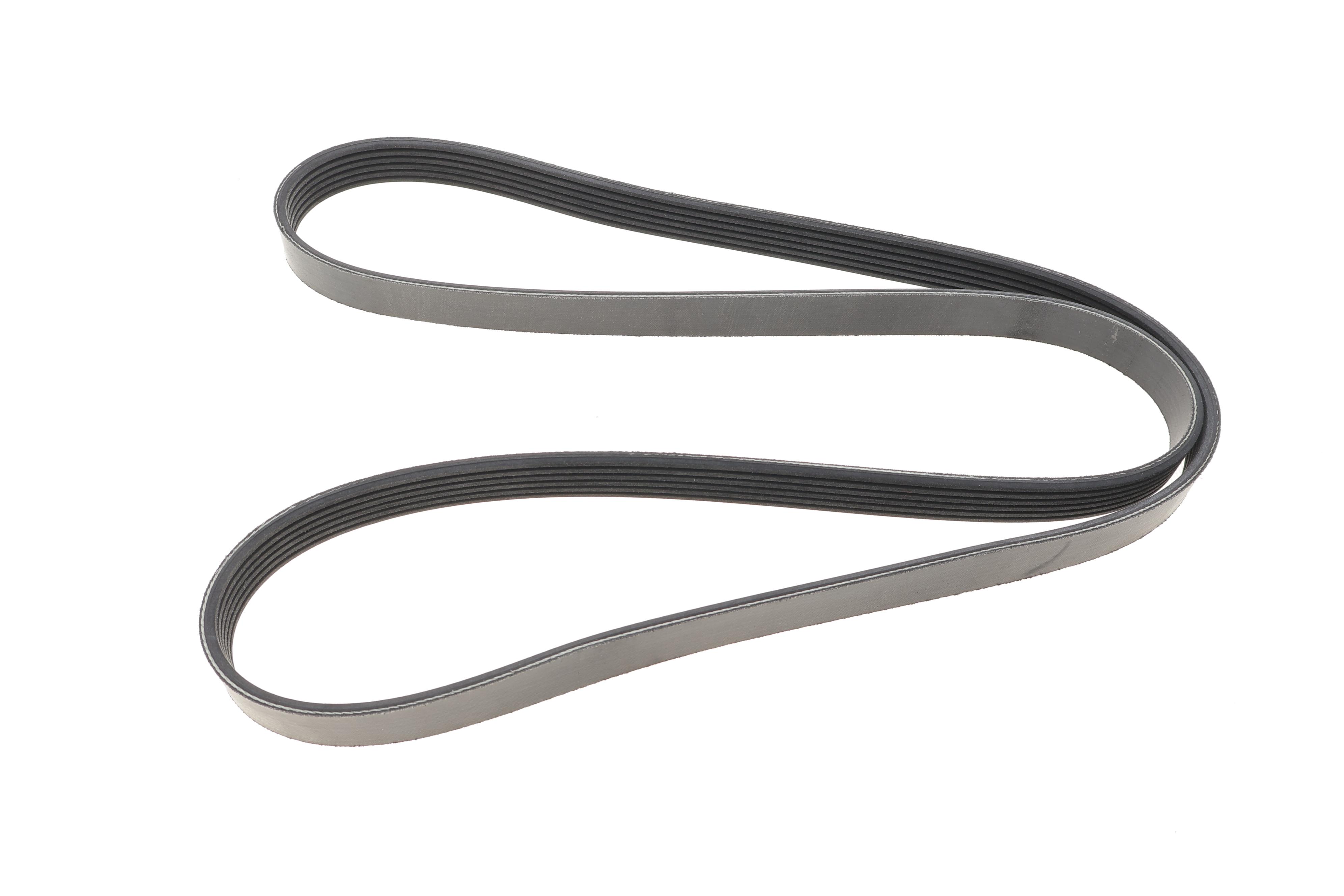 Ремінь генератора Renault Scenic 1.9 dCi 99-03 (6PK1600)