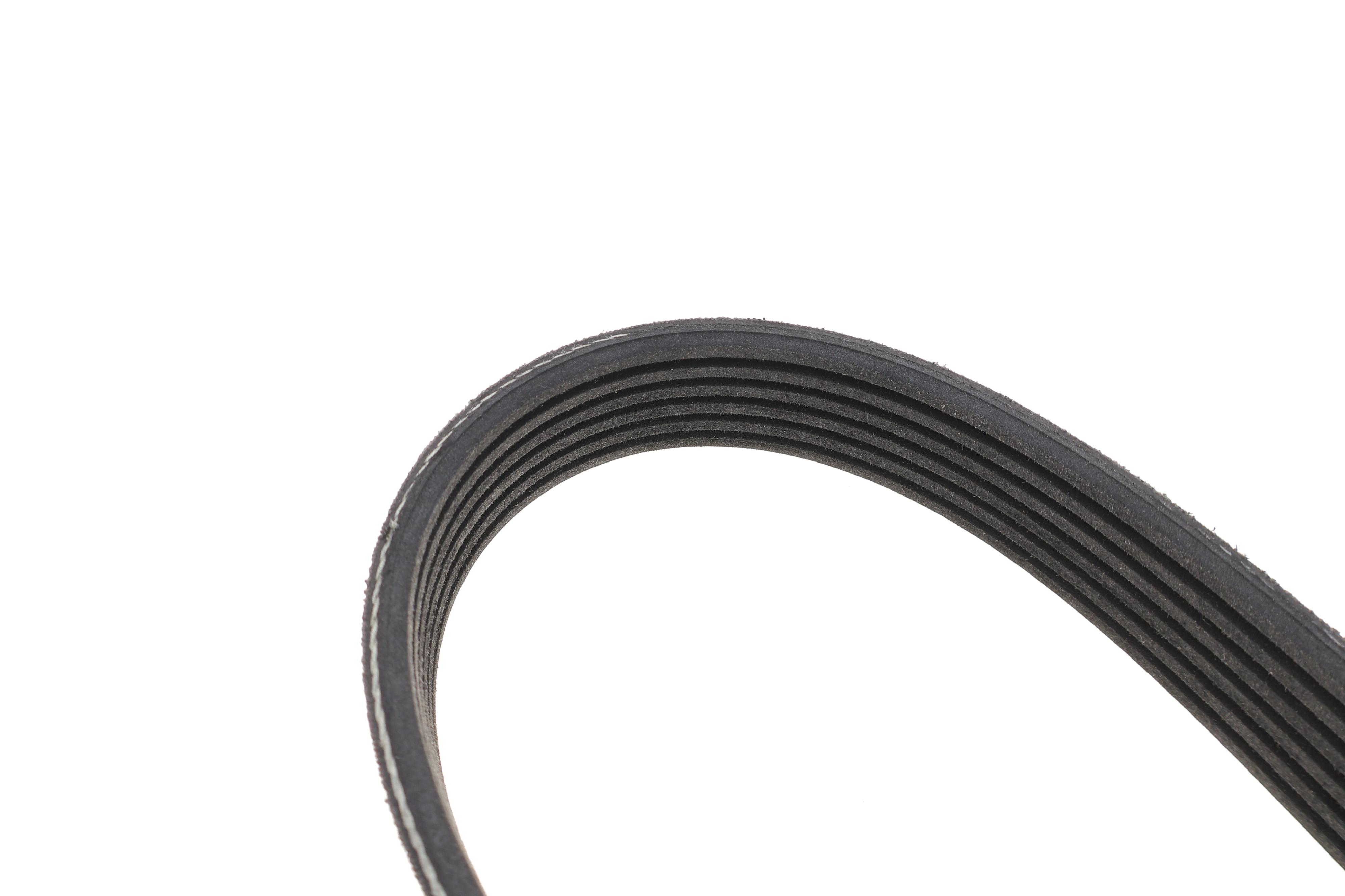 Ремінь генератора Renault Scenic 1.9 dCi 99-03 (6PK1600)