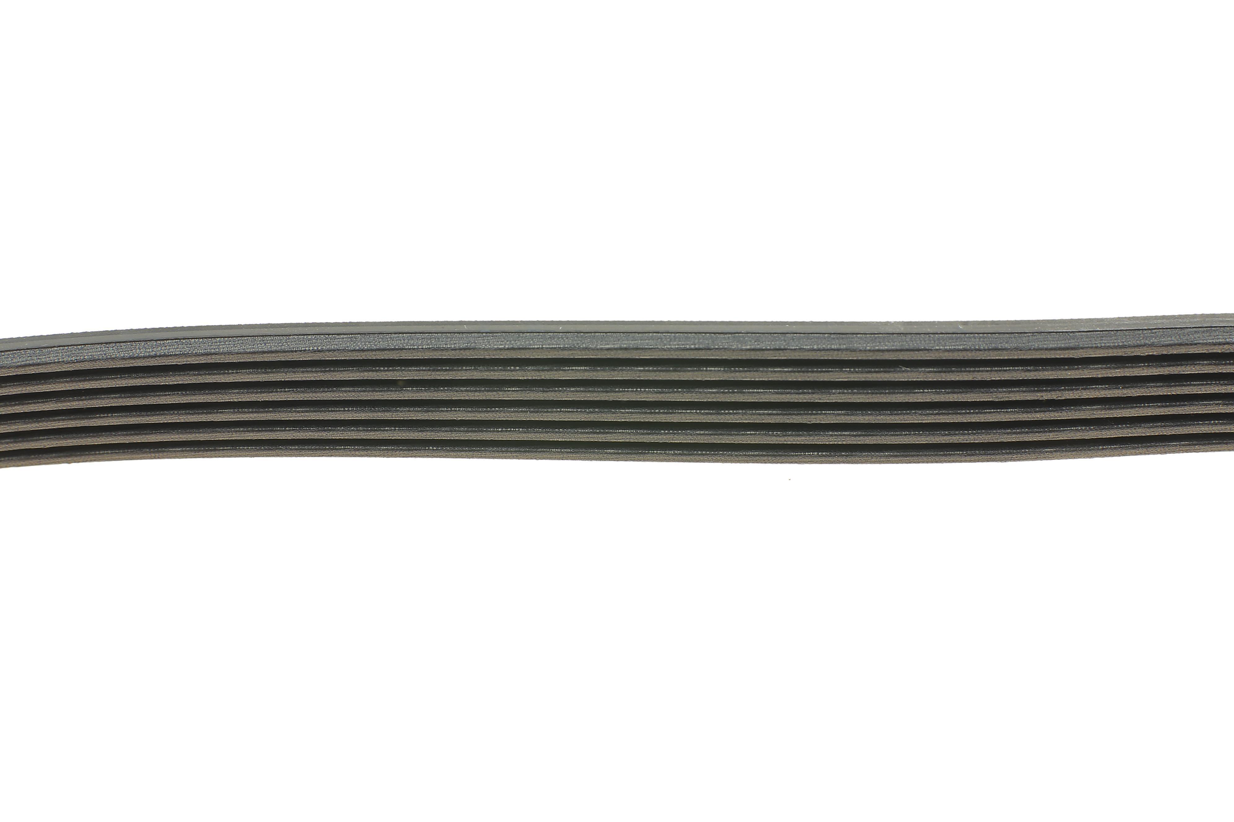 Ремінь генератора Fiat Doblo 1.3D Multijet/1.3JTD/Ford Focus 1.8/2.0 04-