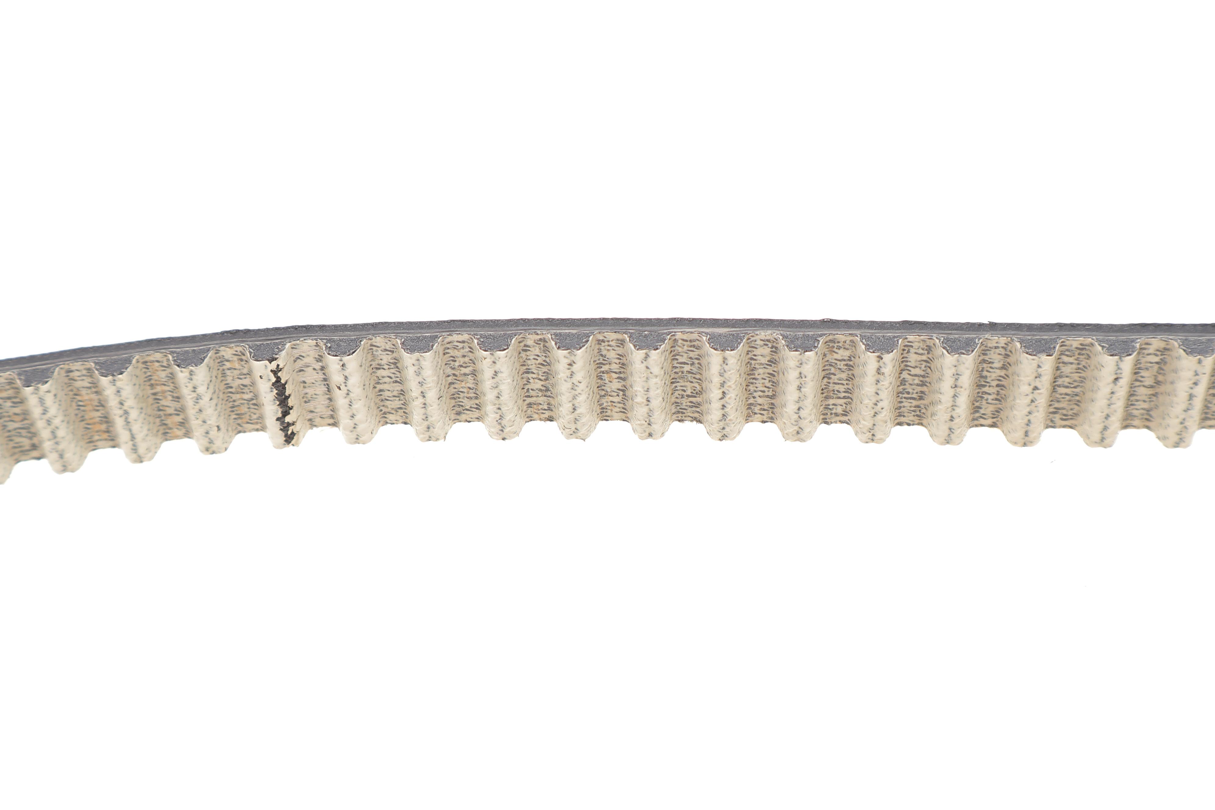 Ремінь ГРМ Ford Transit Custom 2.0EcoBlue 15- (16x981x103z)