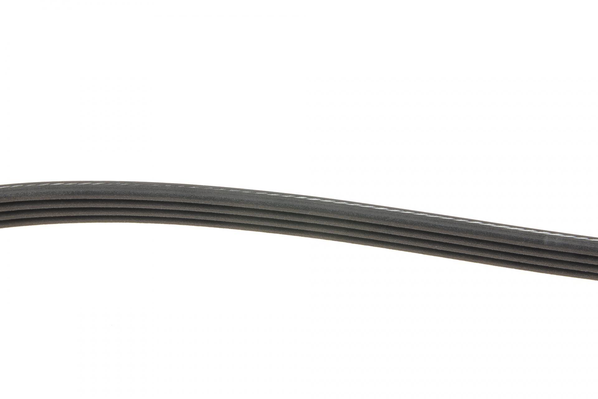 Ремінь генератора Ford Kuga II/Focus III 2.0-2.5 12-