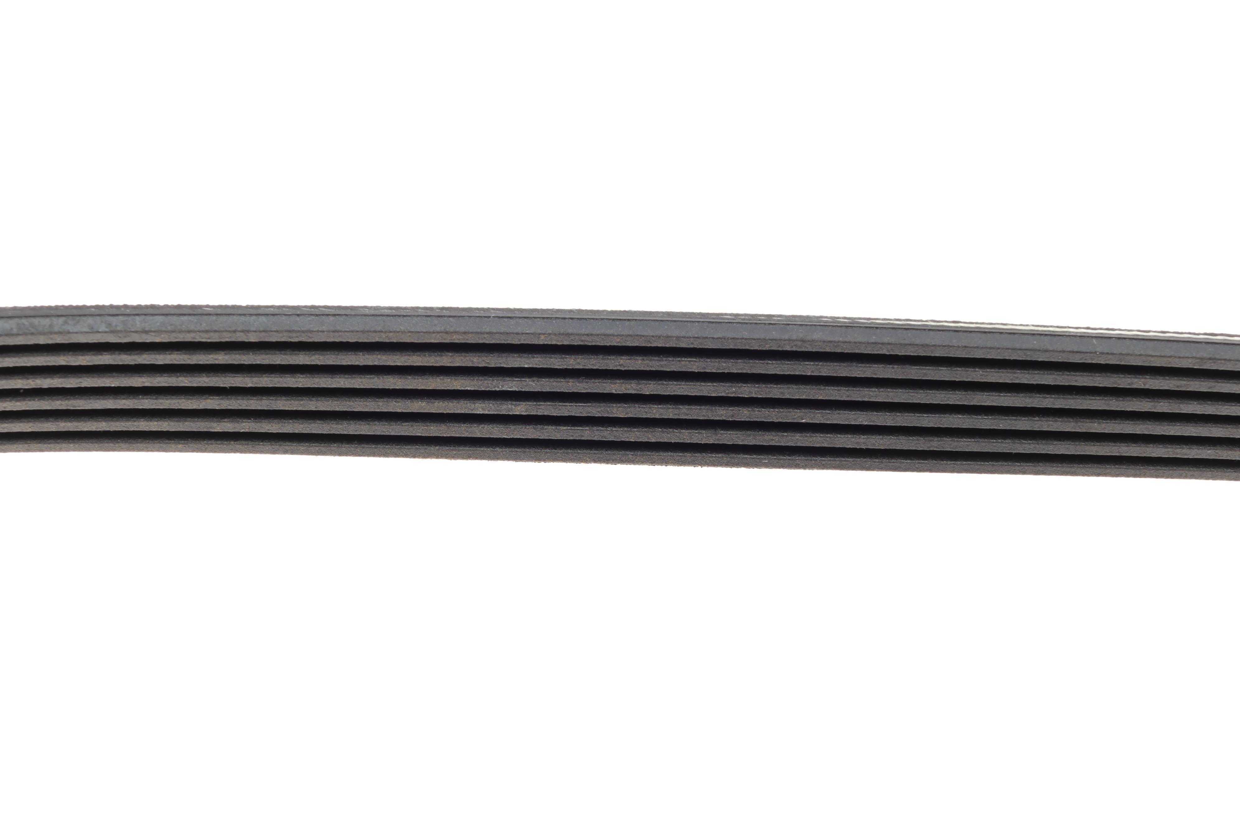 Ремінь генератора Citroen Berlingo/Fiat Ducato/Peugeot Boxer/Expert 1.9 D/TD 96-03 (6PK730)