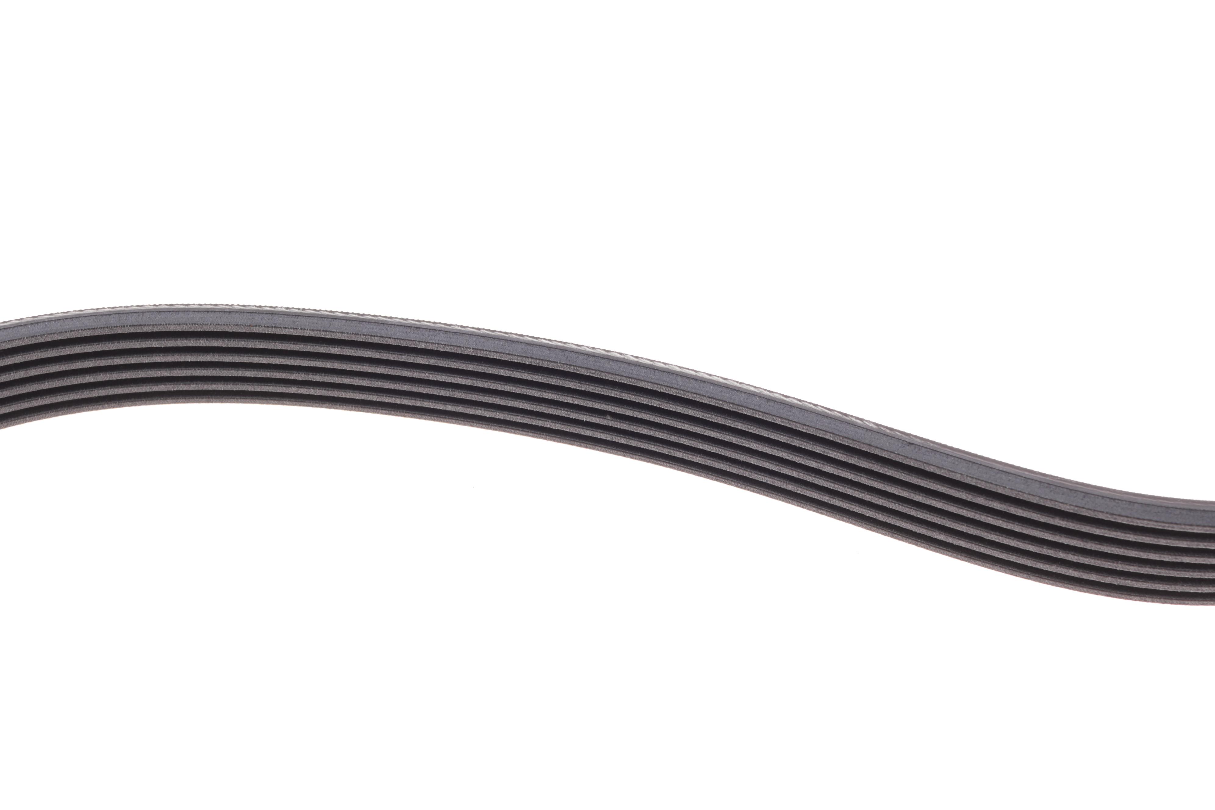 Ремінь генератора VW Caddy/Golf/Skoda Octavia 1.6/2.0 04-15/Fiat Ducato 2.5TDI 94-02/Scudo 1.6 96-06