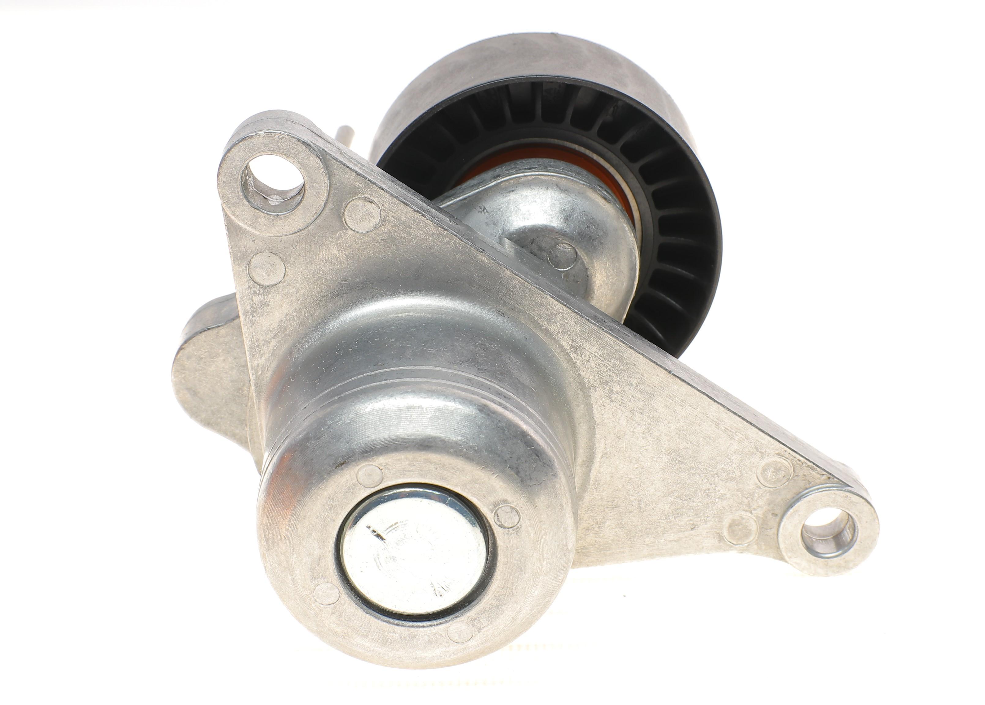 Натяжник ременя генератора Renault Trafic/Megane 2.0dCi/Master 2.3dCi 06-, (65x29.5)