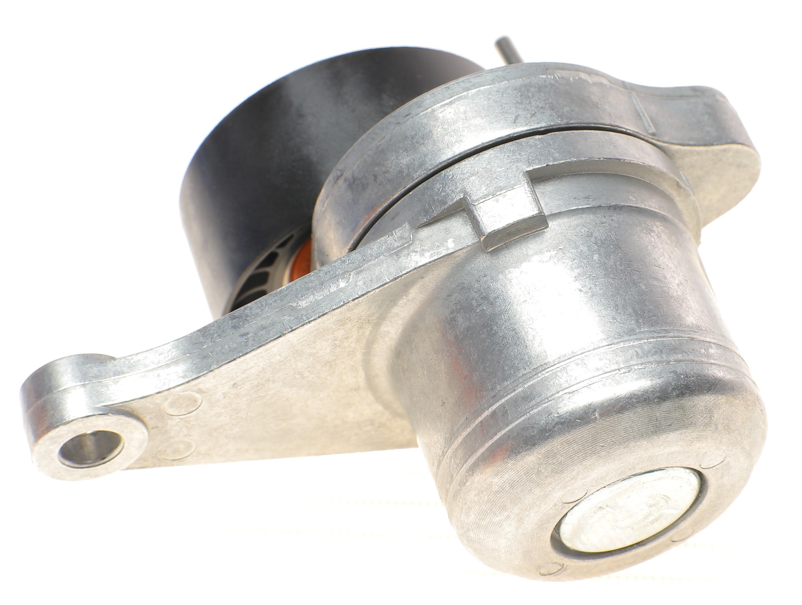 Натяжник ременя генератора Renault Trafic/Megane 2.0dCi/Master 2.3dCi 06-, (65x29.5)