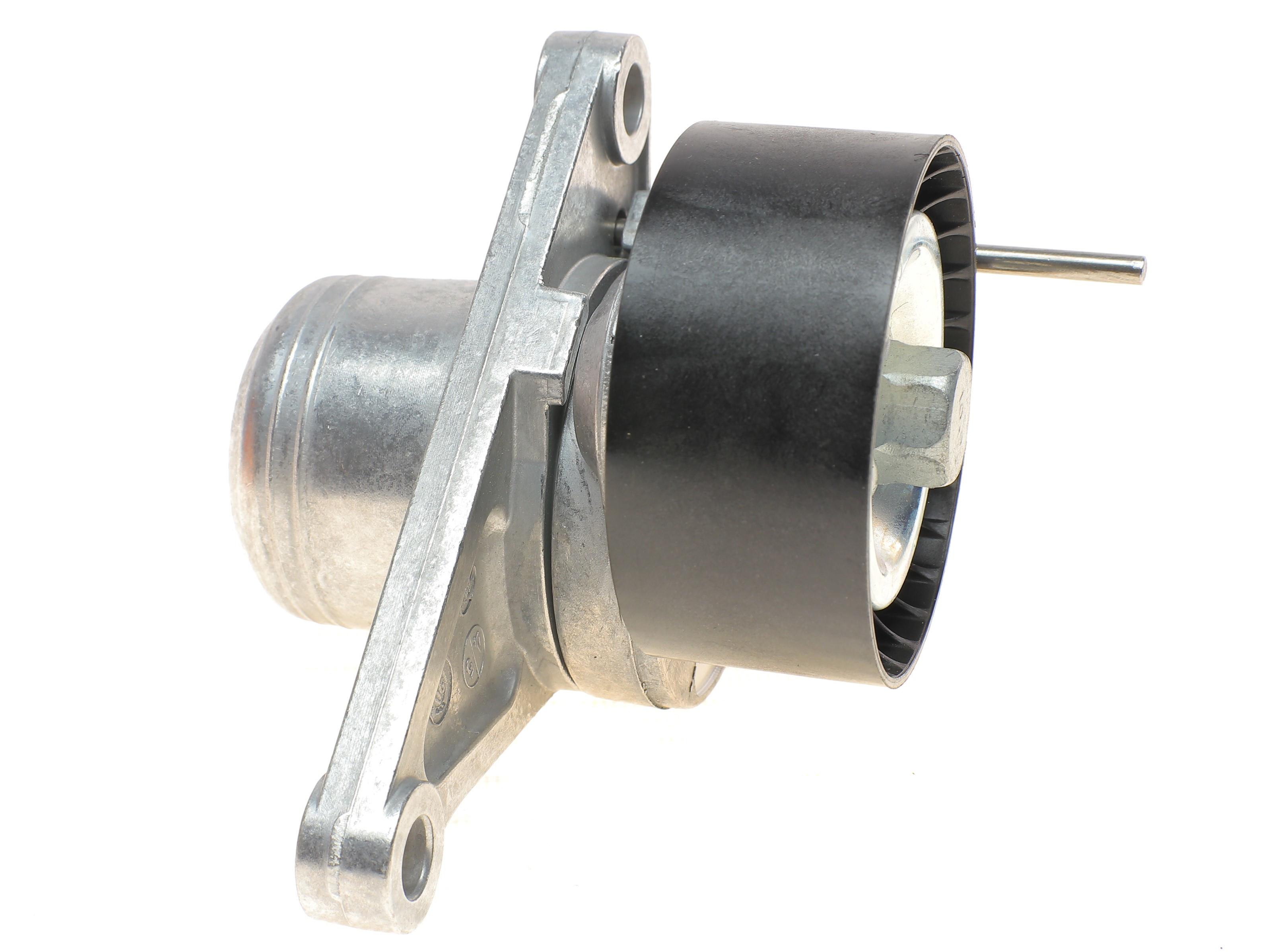 Натяжник ременя генератора Renault Trafic/Megane 2.0dCi/Master 2.3dCi 06-, (65x29.5)