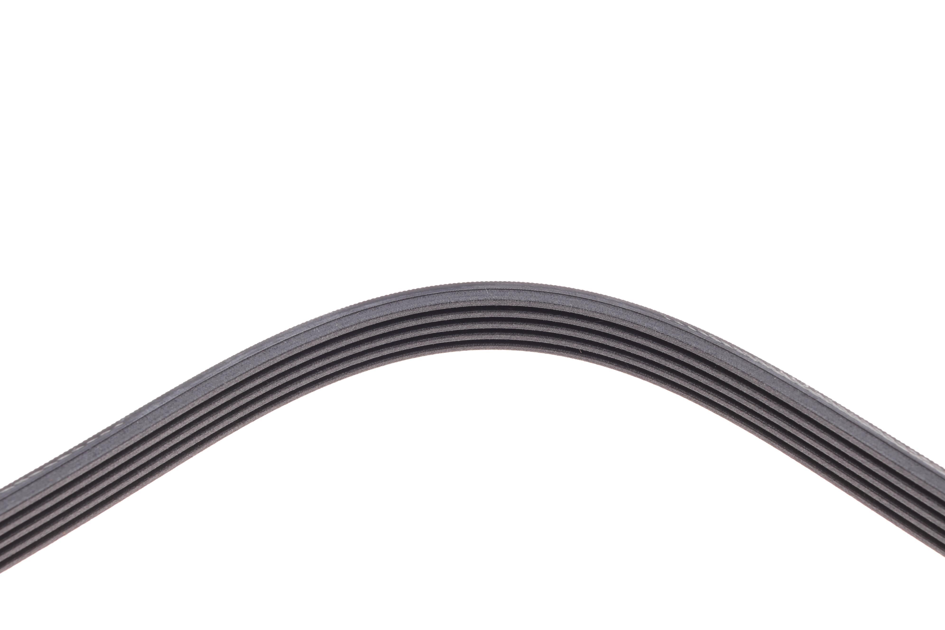 Ремінь генератора BMW 3 (E46)/5 (E39) 1.8D/Land Rover 2.0 Td4 4x4 00-06 (5PK2030)