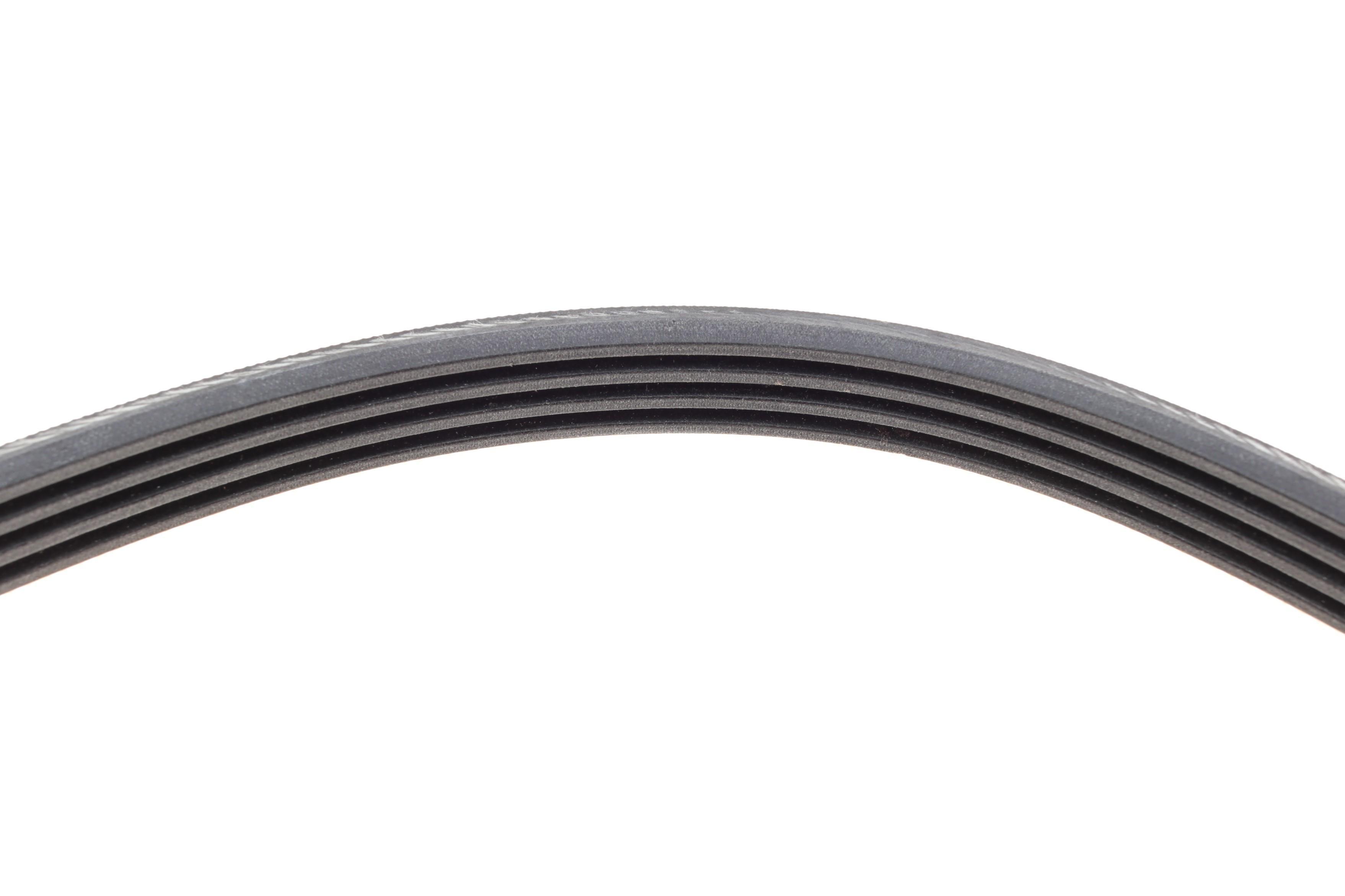 Ремінь генератора Ford Galaxy/Mondeo 2.0 EcoBoost 14-