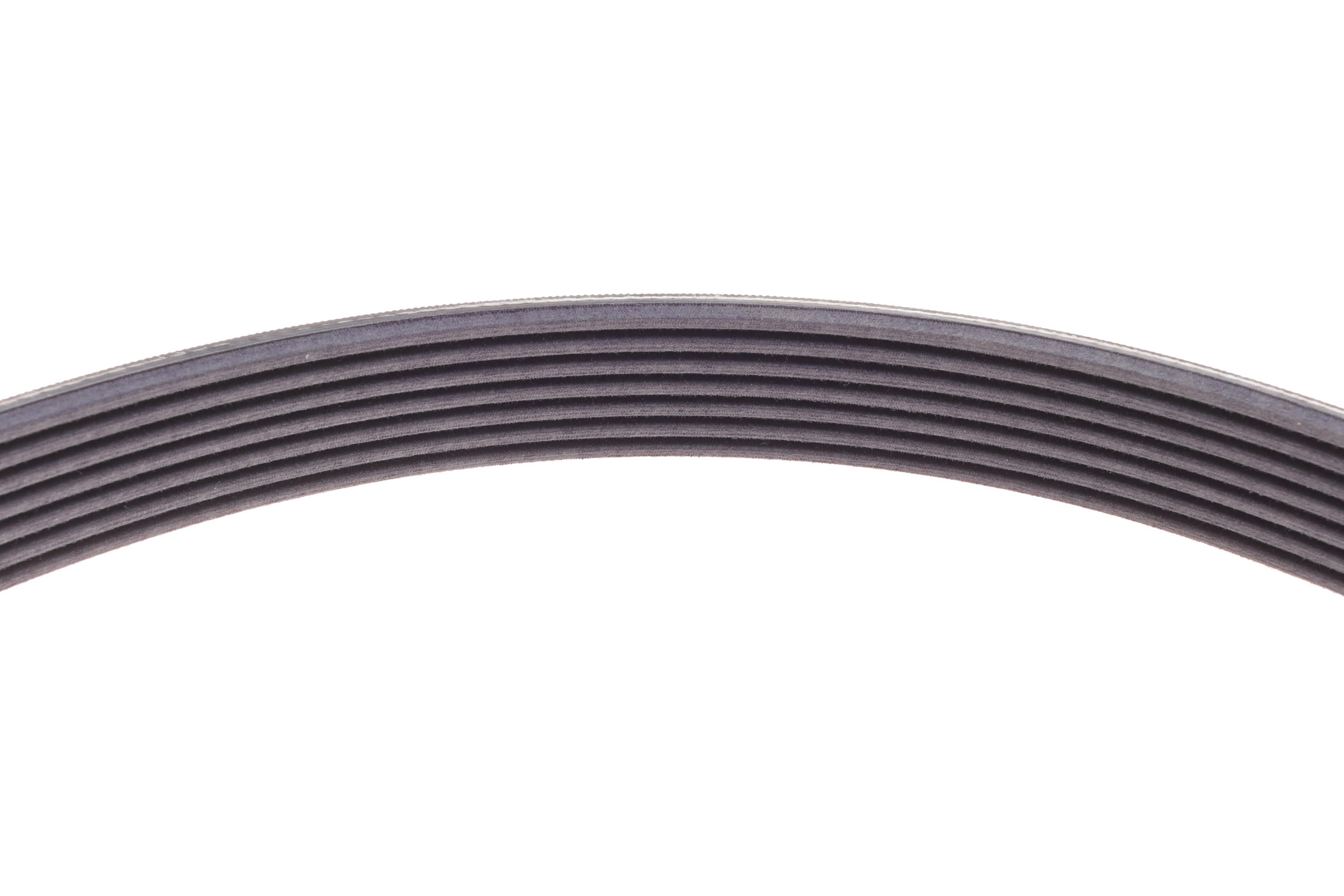 Ремінь генератора Ford Transit 2.2 TDCi 11-