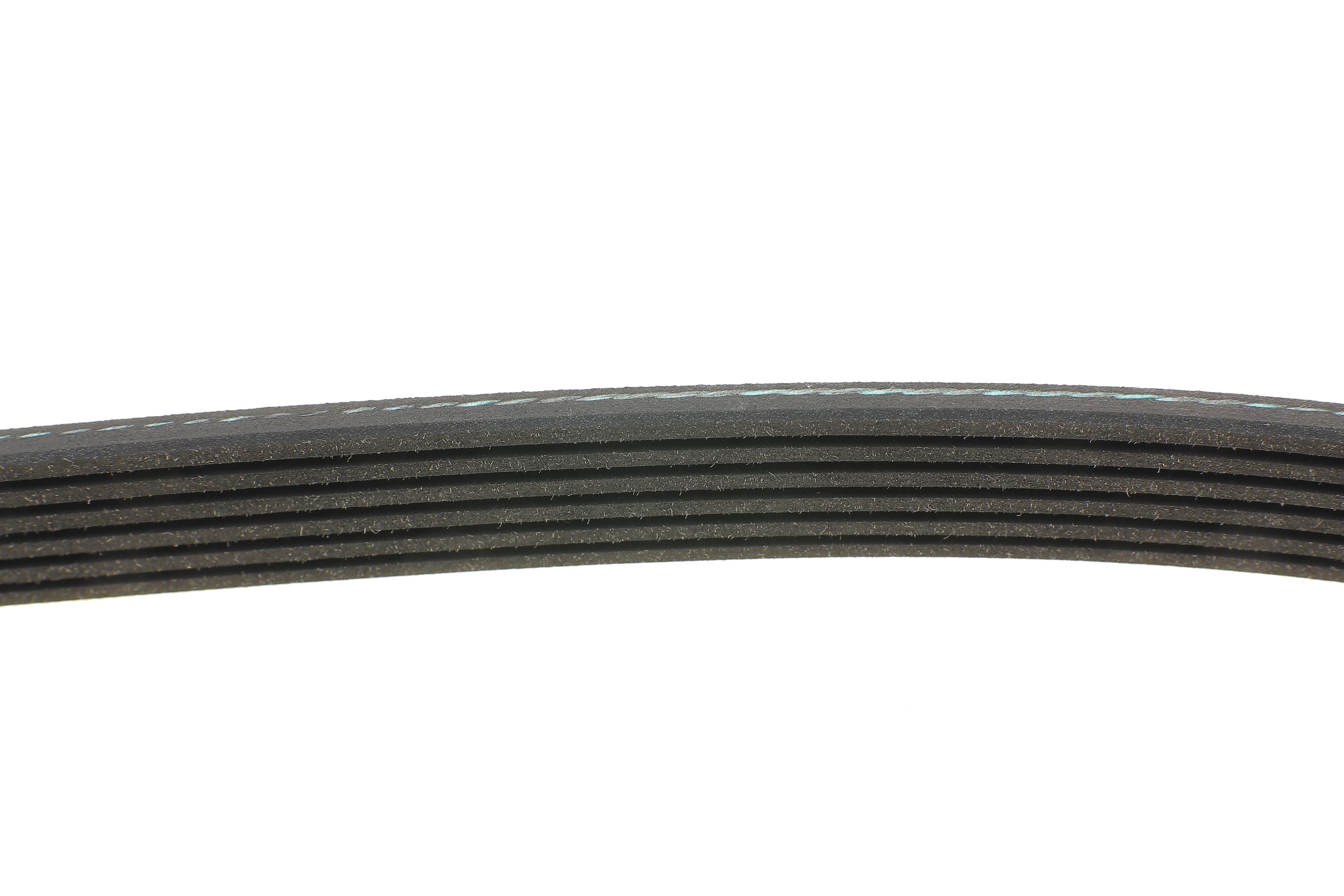 Ремінь генератора Citroen Berlingo/Fiat Scudo 1.9D 98-06 (6PK1437)