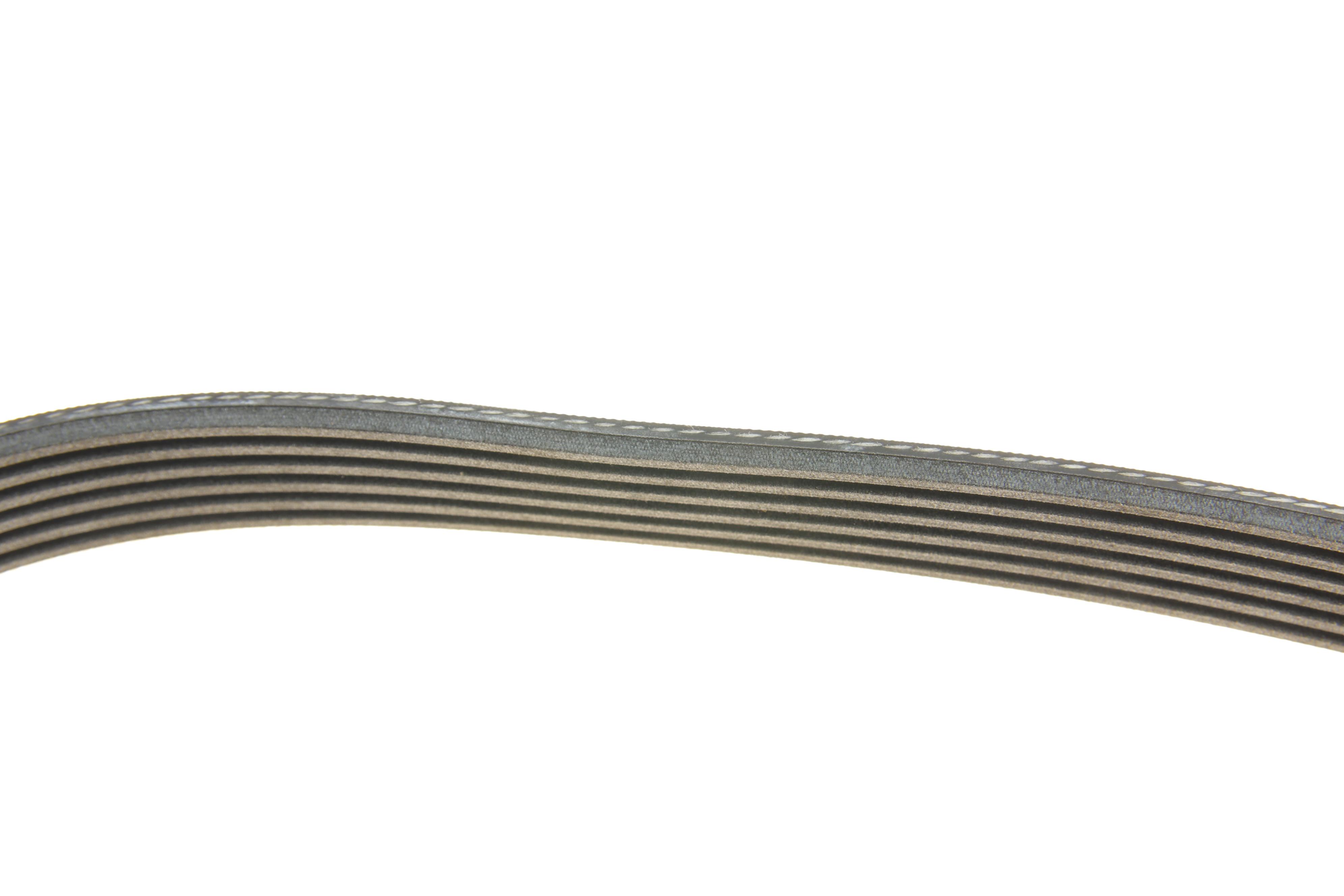 Ремінь генератора Ford Transit 2.3 16V 00-06 (RWD)