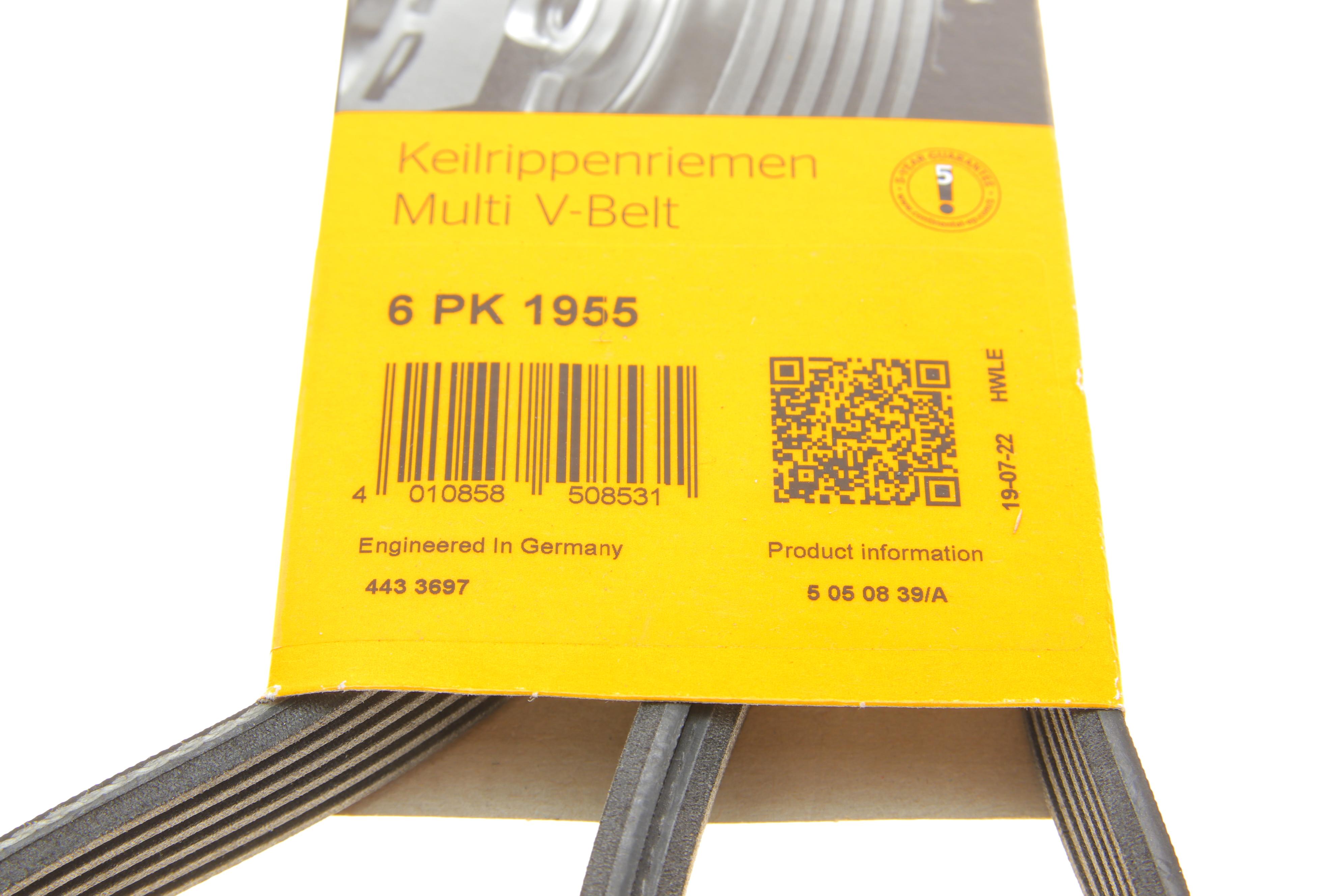 Ремінь генератора Ford Transit 2.3 16V 00-06 (RWD)