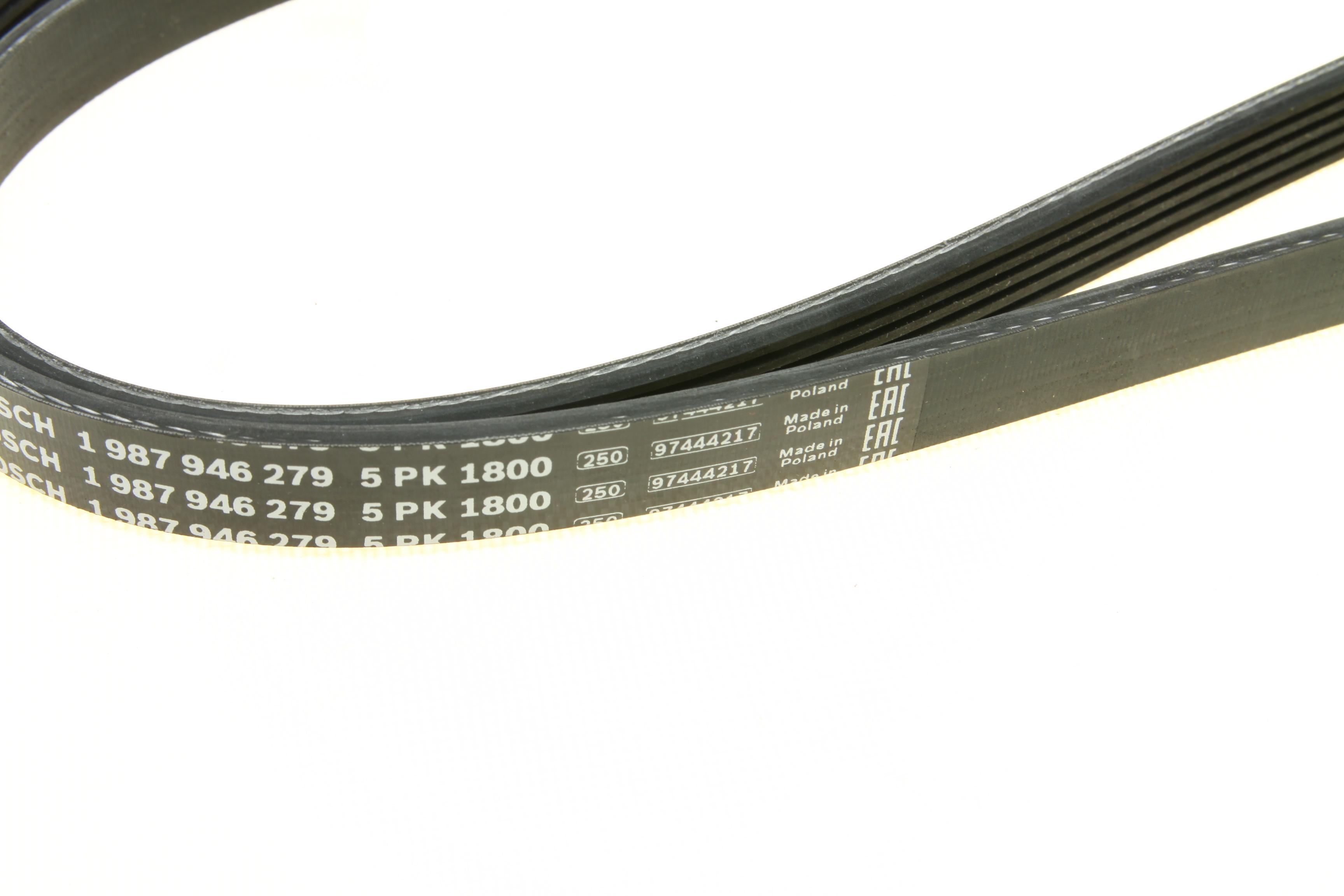 Ремінь генератора Hyundai Accent/Kia Rio 1.5 CRDi 05- (5PK1800)