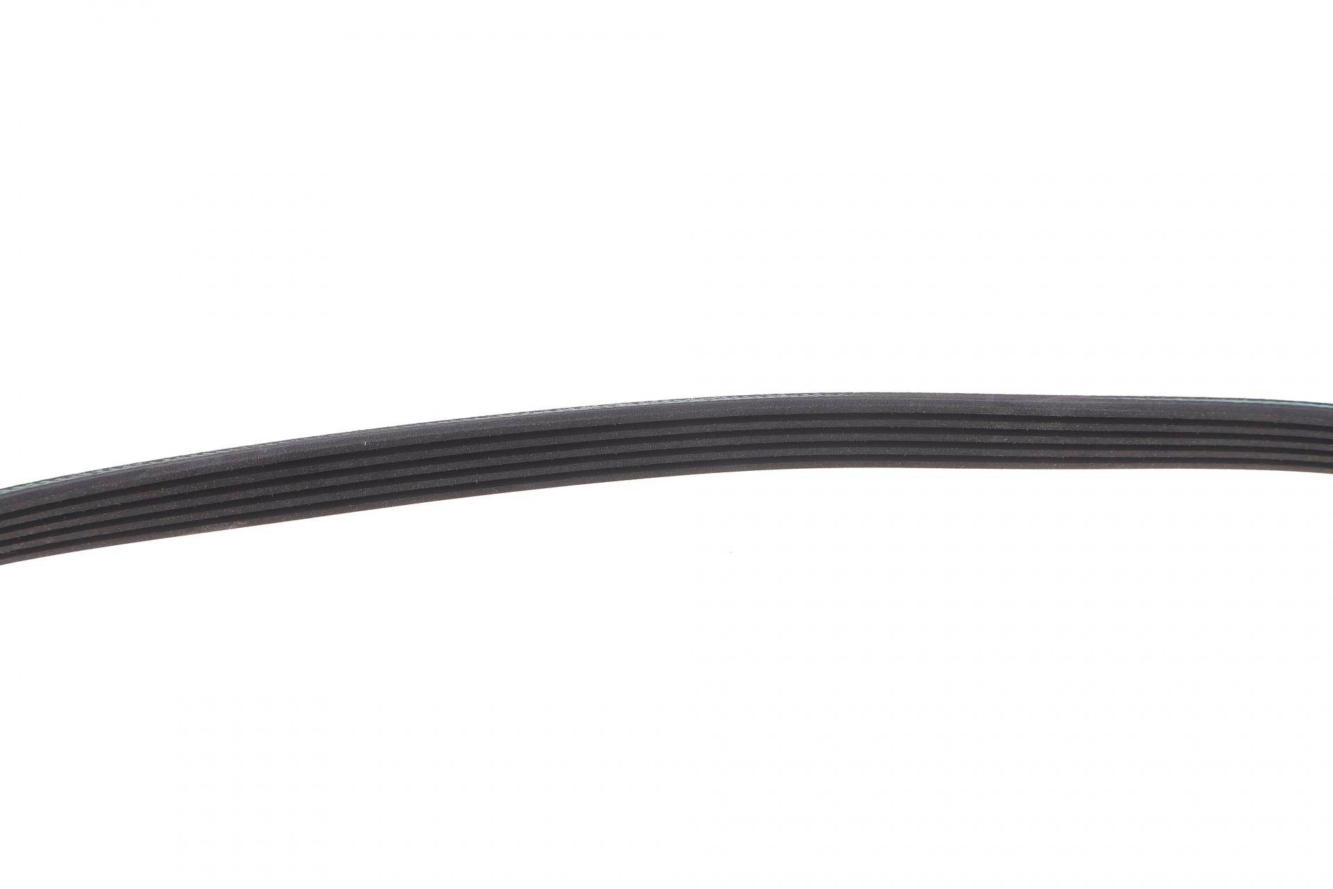 Ремінь генератора BMW 5 (E39) 520i/523i/528i (5PK905)