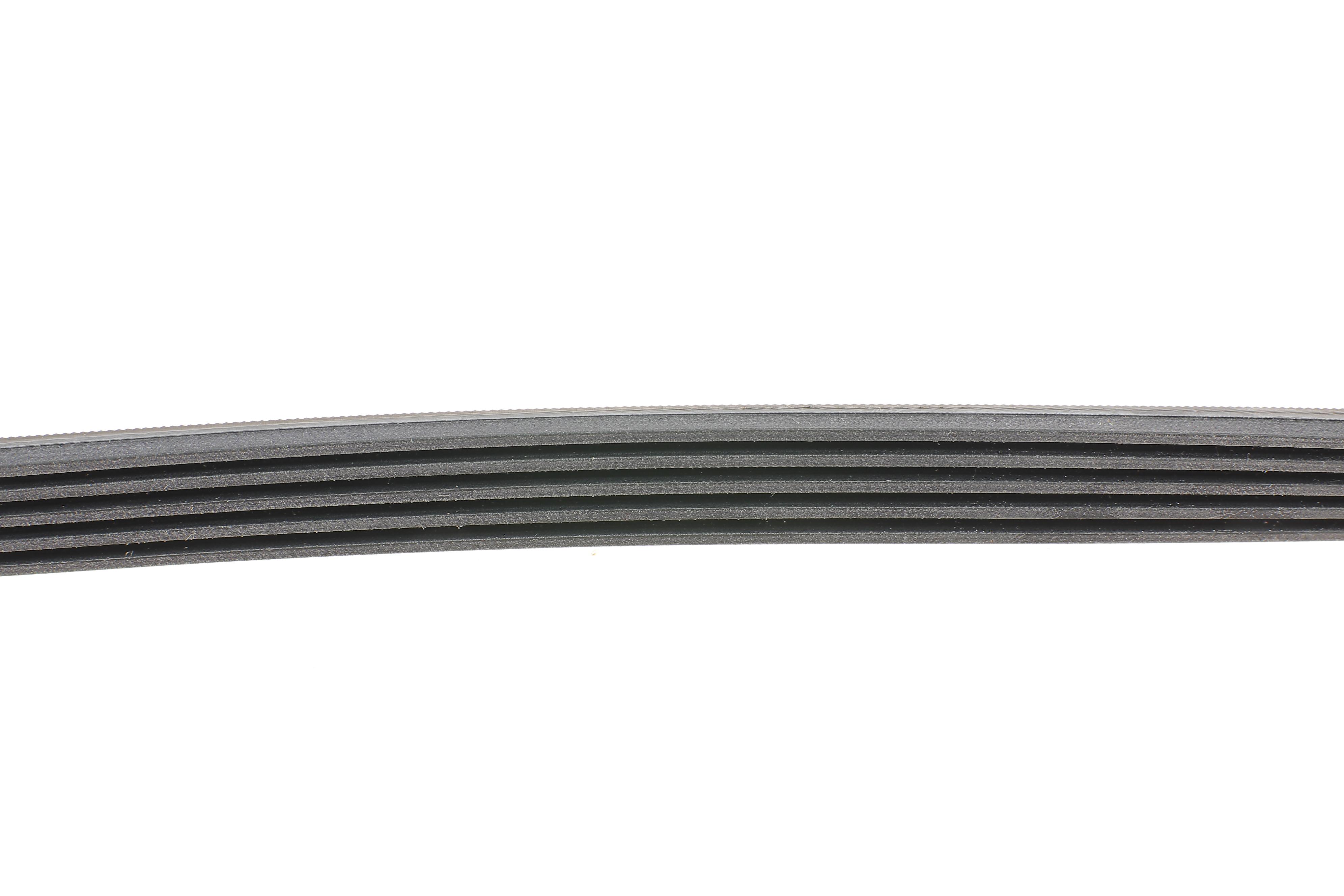 Ремінь генератора BMW 3 (E46)/5 (E39)/7 (E38) 95-05 (5PK865)