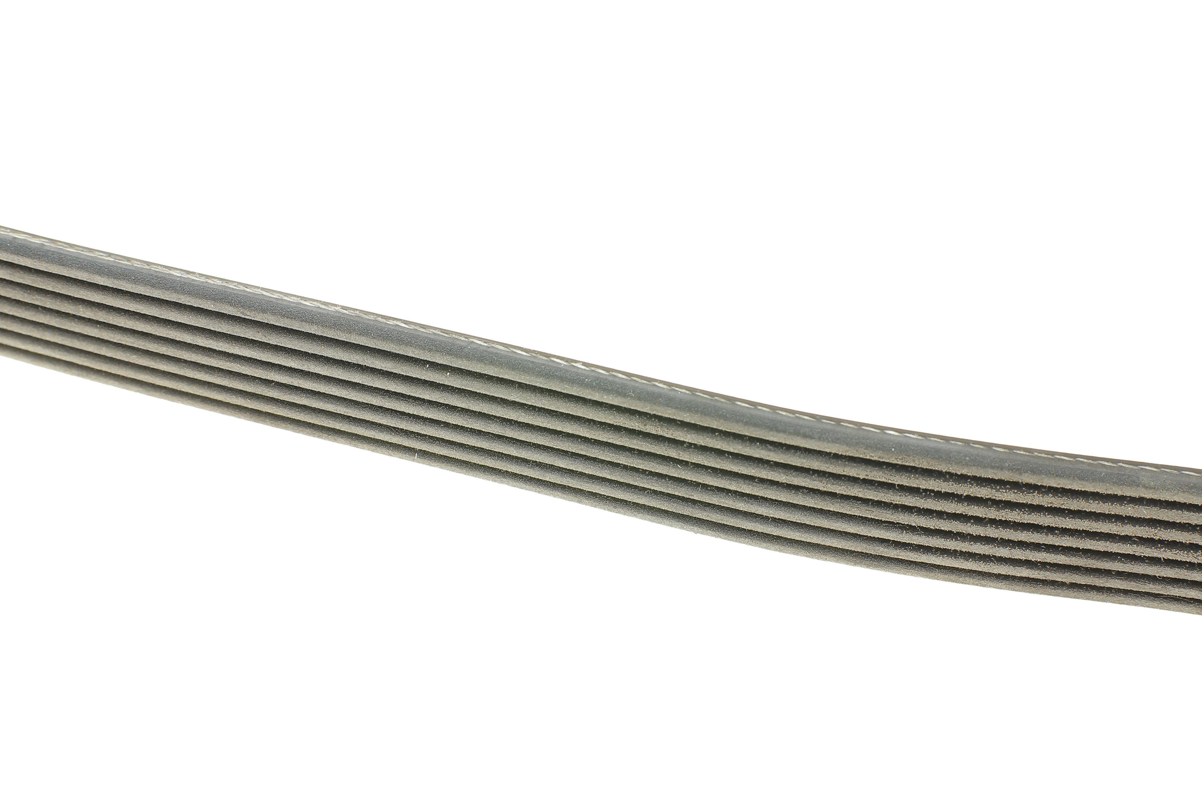 Ремінь генератора Ford Transit 2.4 TDCi 00-06