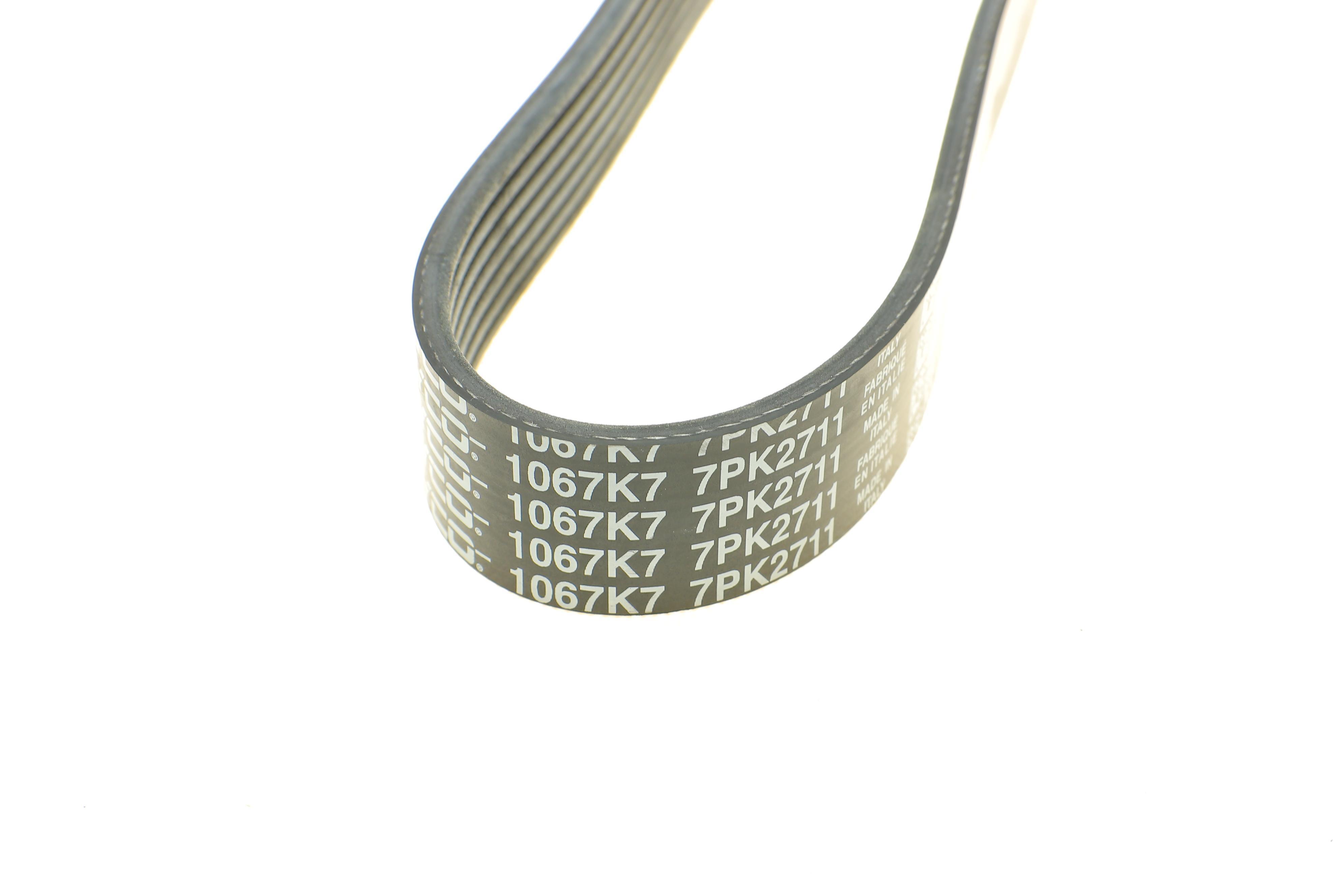 Ремінь генератора Ford Transit 2.4 TDCi 00-06