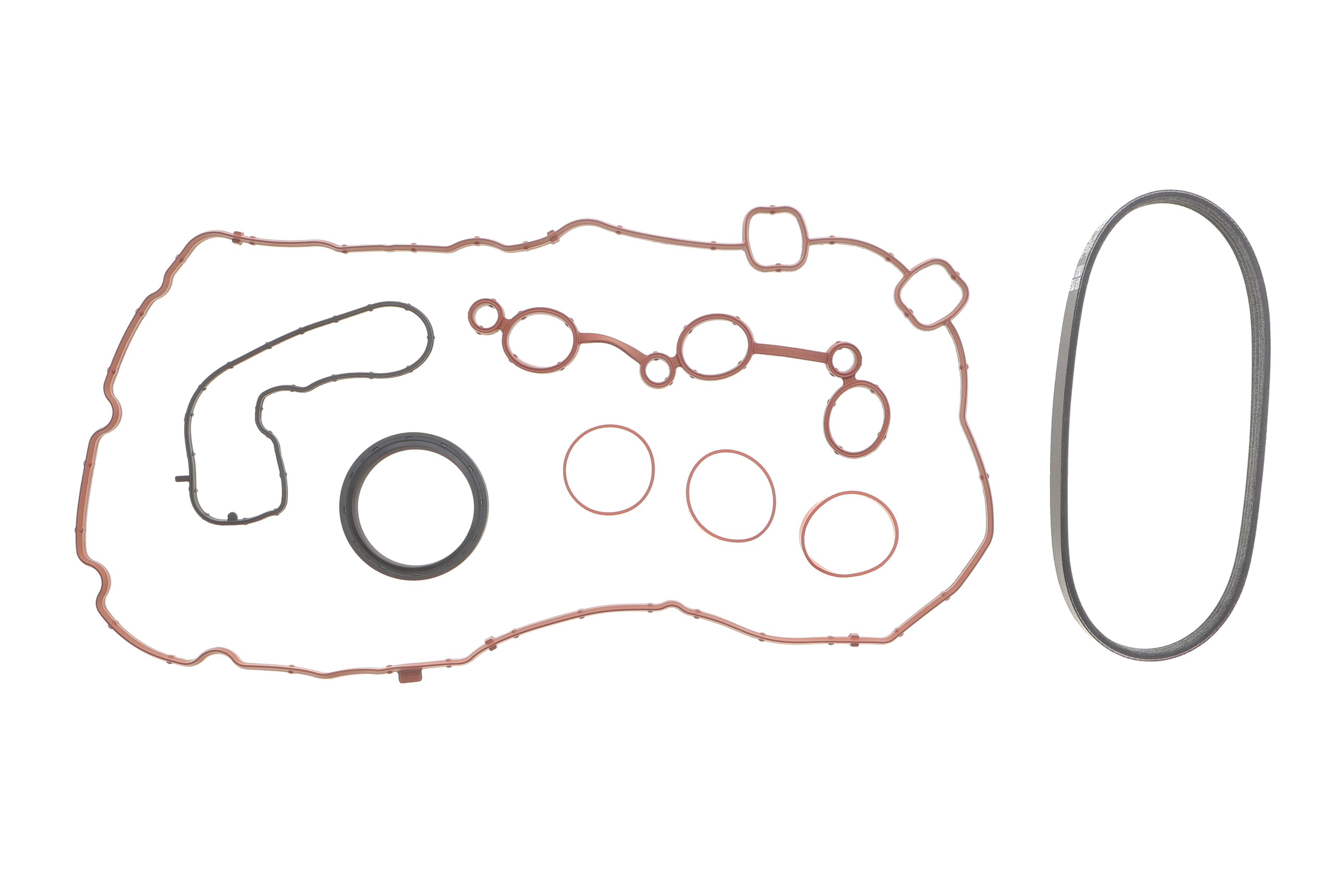 Комплект ременя генератора Citroen C3/C4/Peugeot 208/308 1.2 THP 13- + прокладки і сальник