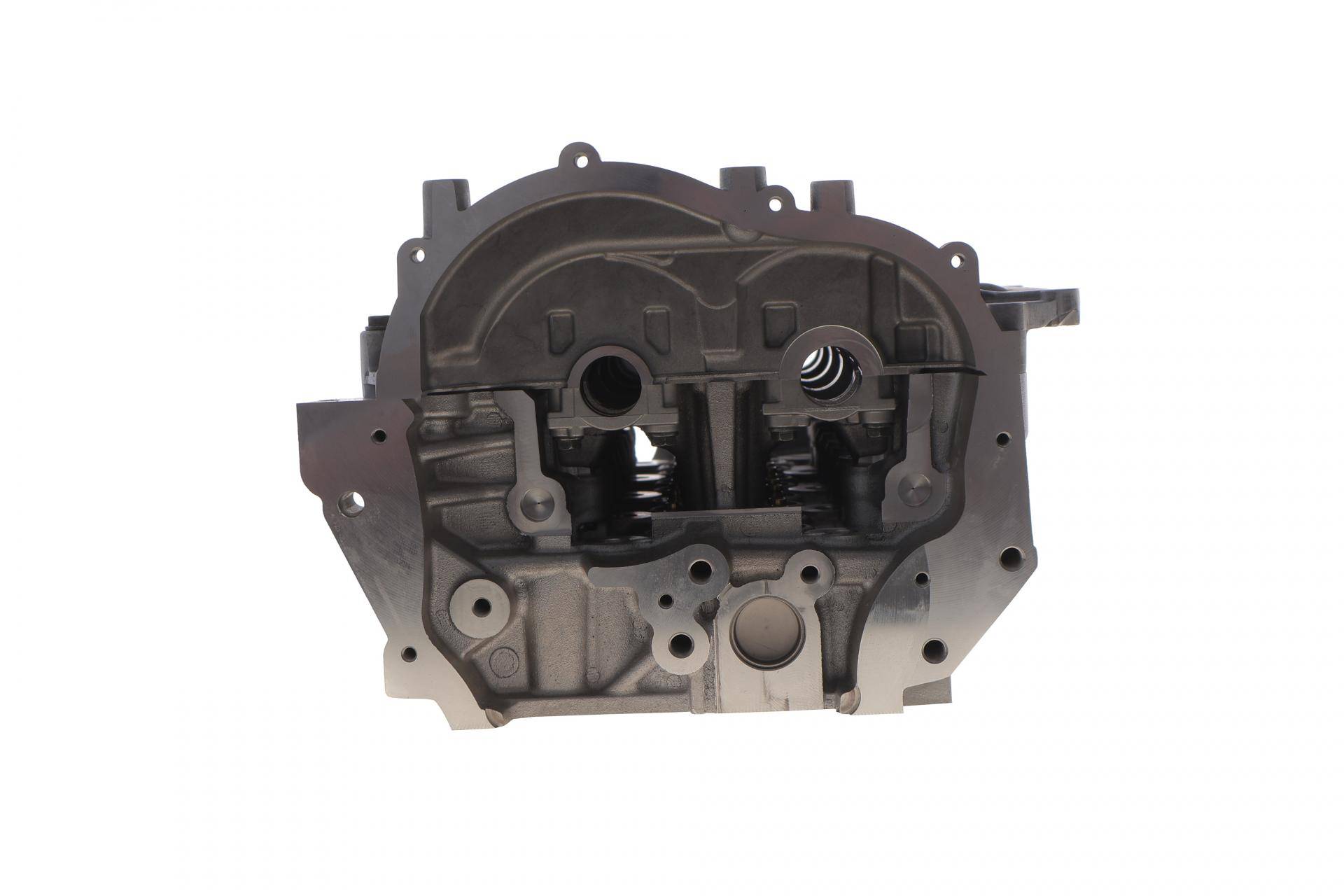 Головка блоку циліндрів Renault Trafic/Laguna 2.0dCi 06-