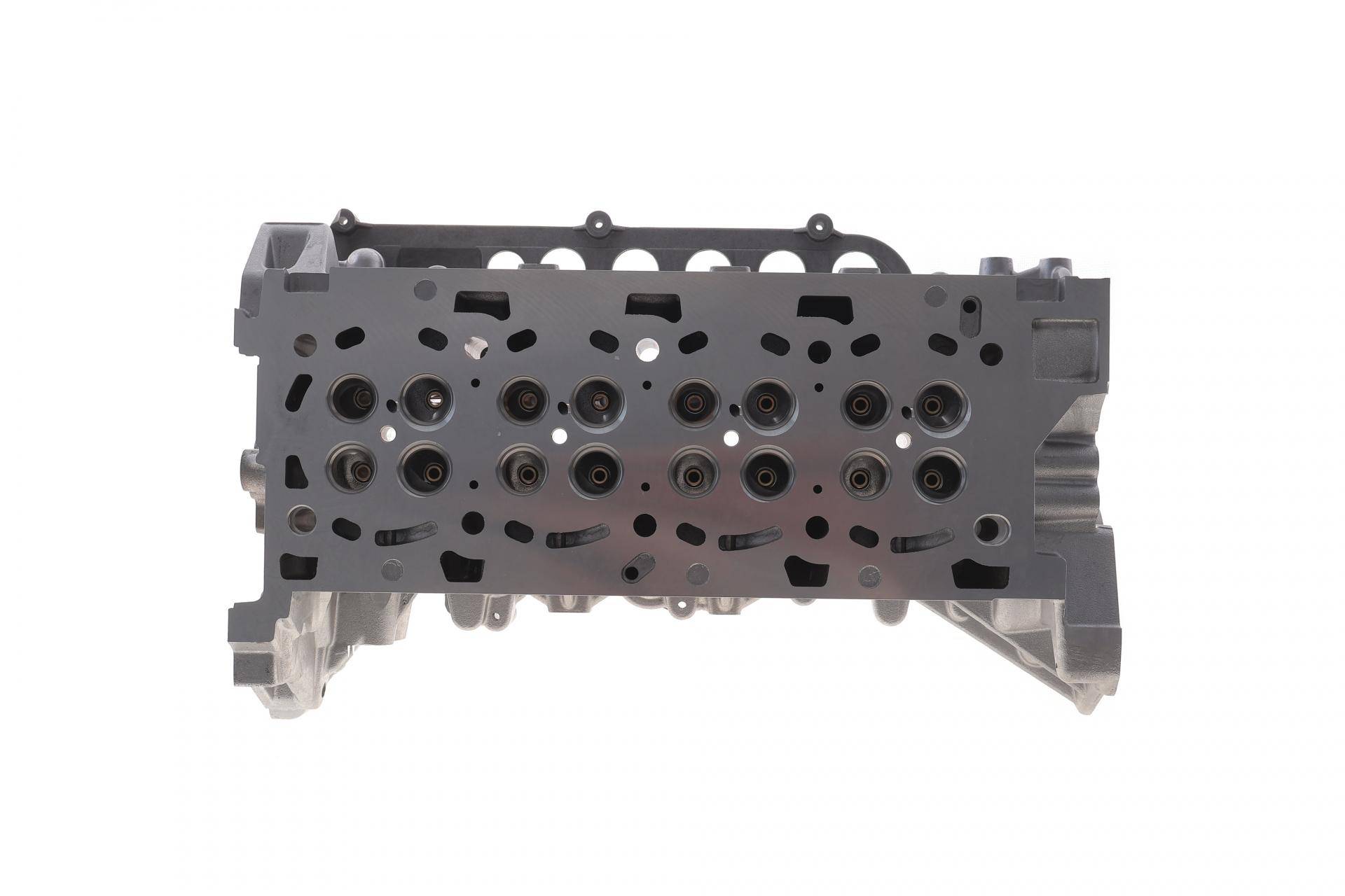 Головка блоку циліндрів Renault Trafic/Laguna 2.0dCi 06-