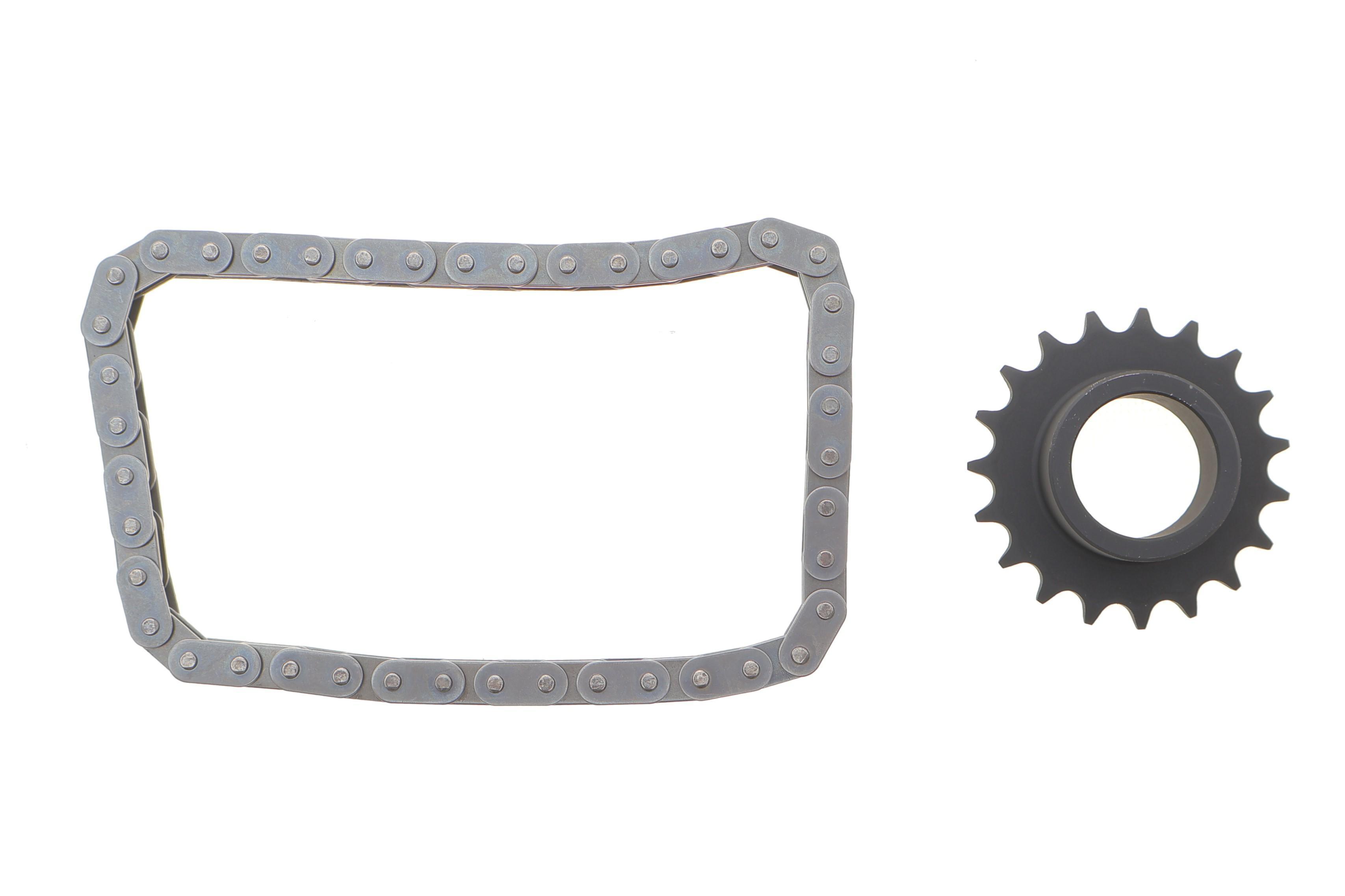 Комплект ланцюга насосу масляного Renault Kangoo/Master/Trafic 1.9dCi 10-