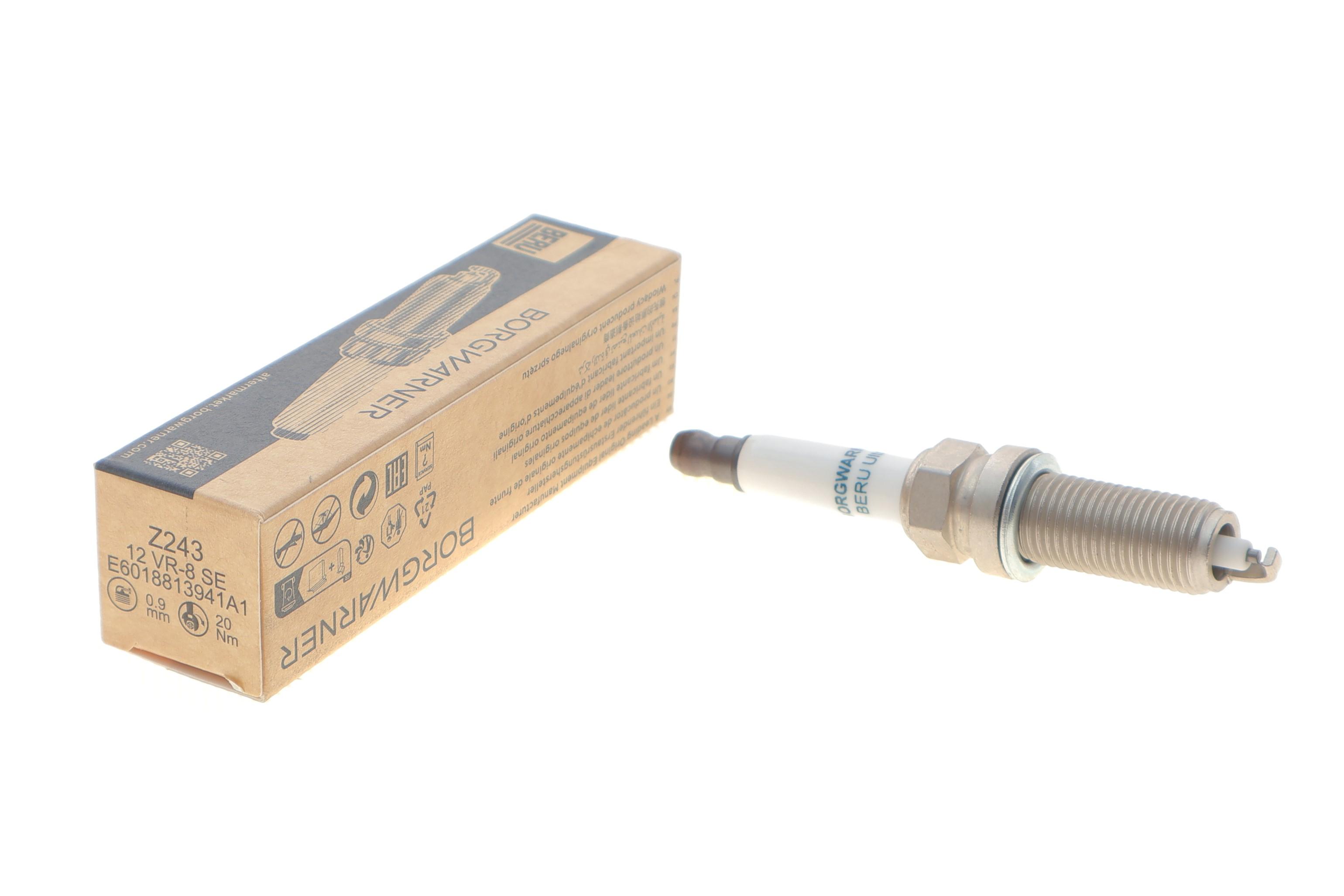 Свічка запалювання Dacia Logan/Renault Kangoo 1.4/1.2 16V 01-