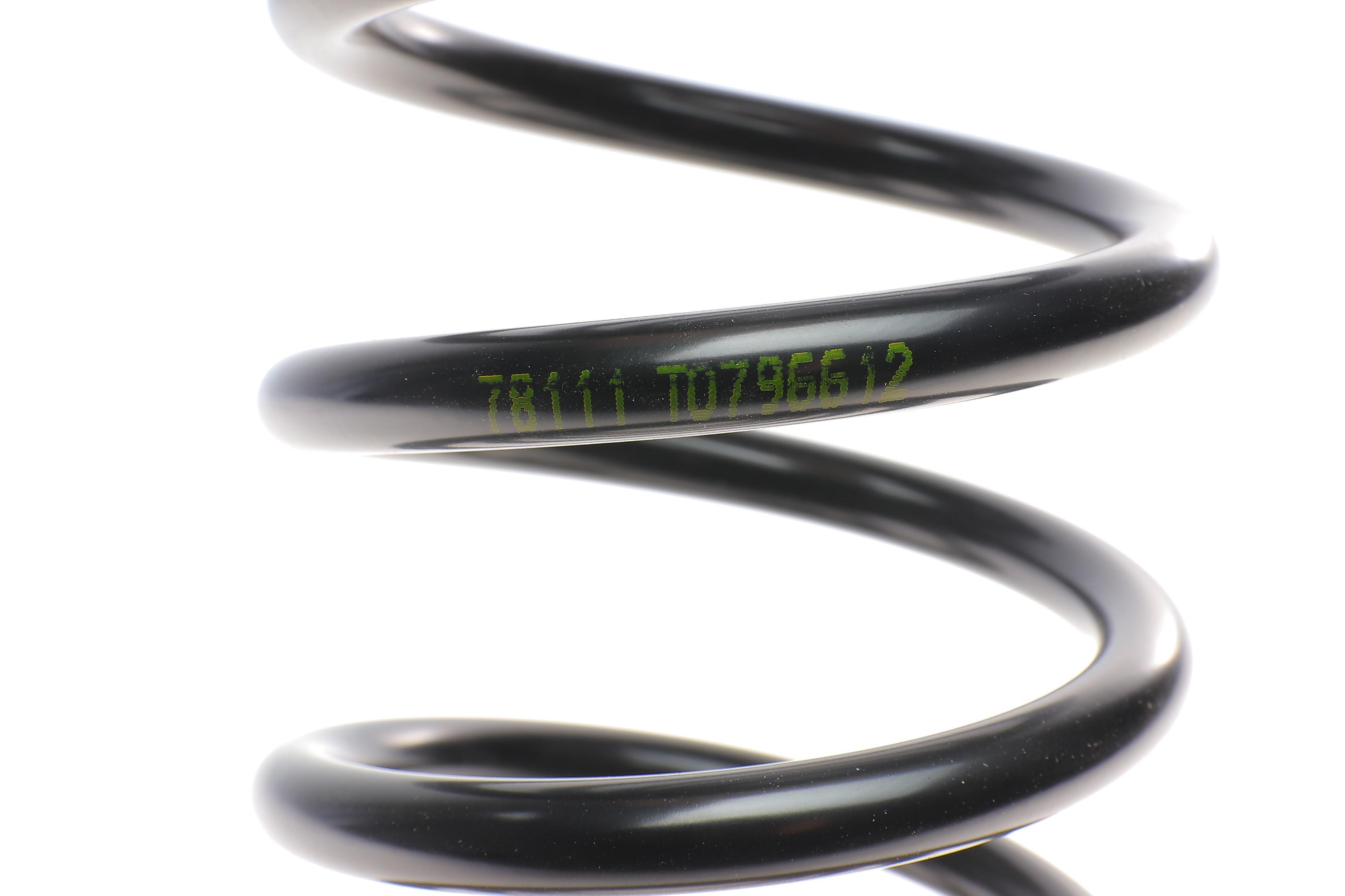 Пружина (задня) Mitsubishi Carisma/Space Star 1.3/1.6/1.8GDI/1.9DI-D/TD 98-06 (седан/накл.з.ч/вен)