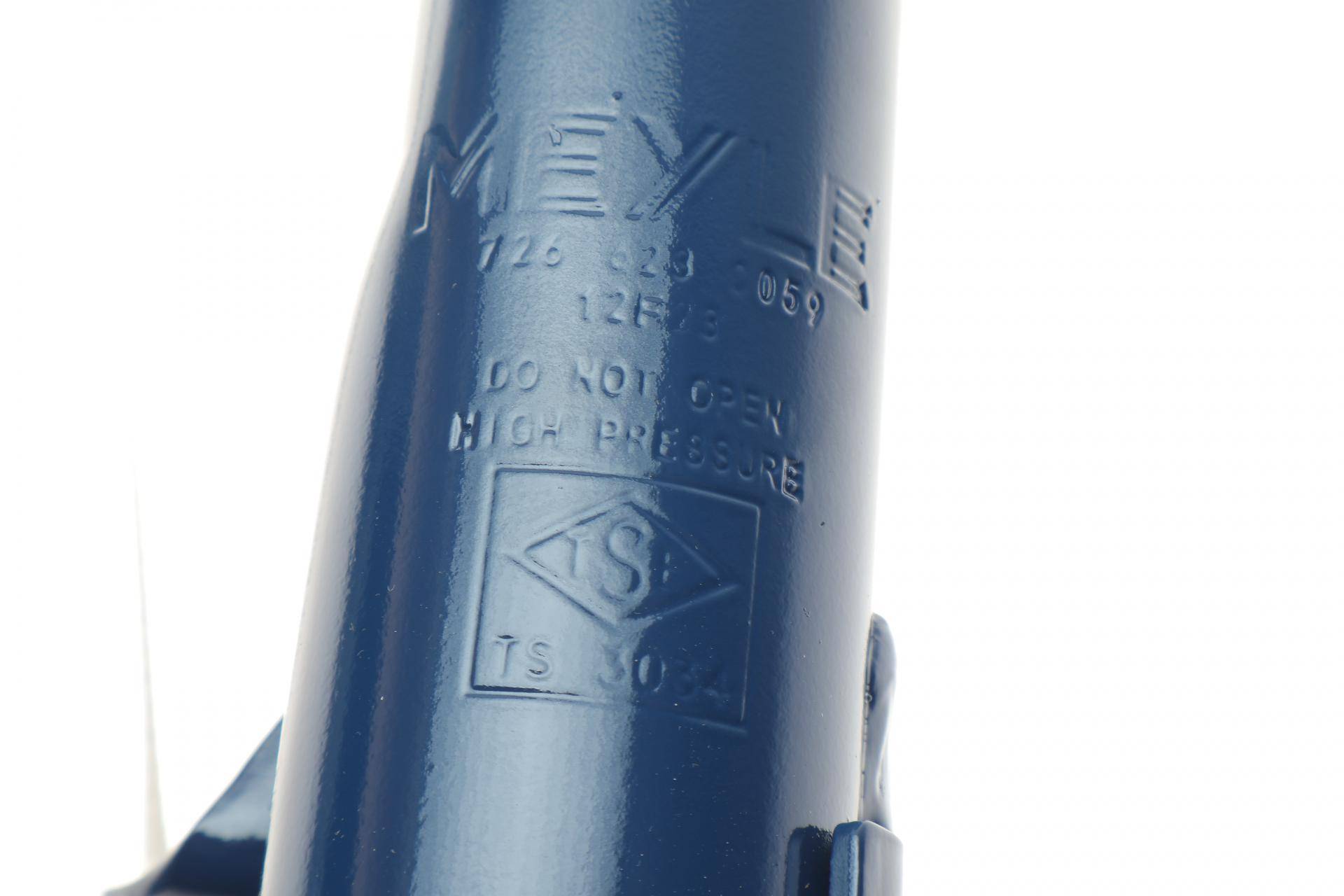 Амортизатор (передній) Ford Kuga II 1.5-2.5 13- (L)