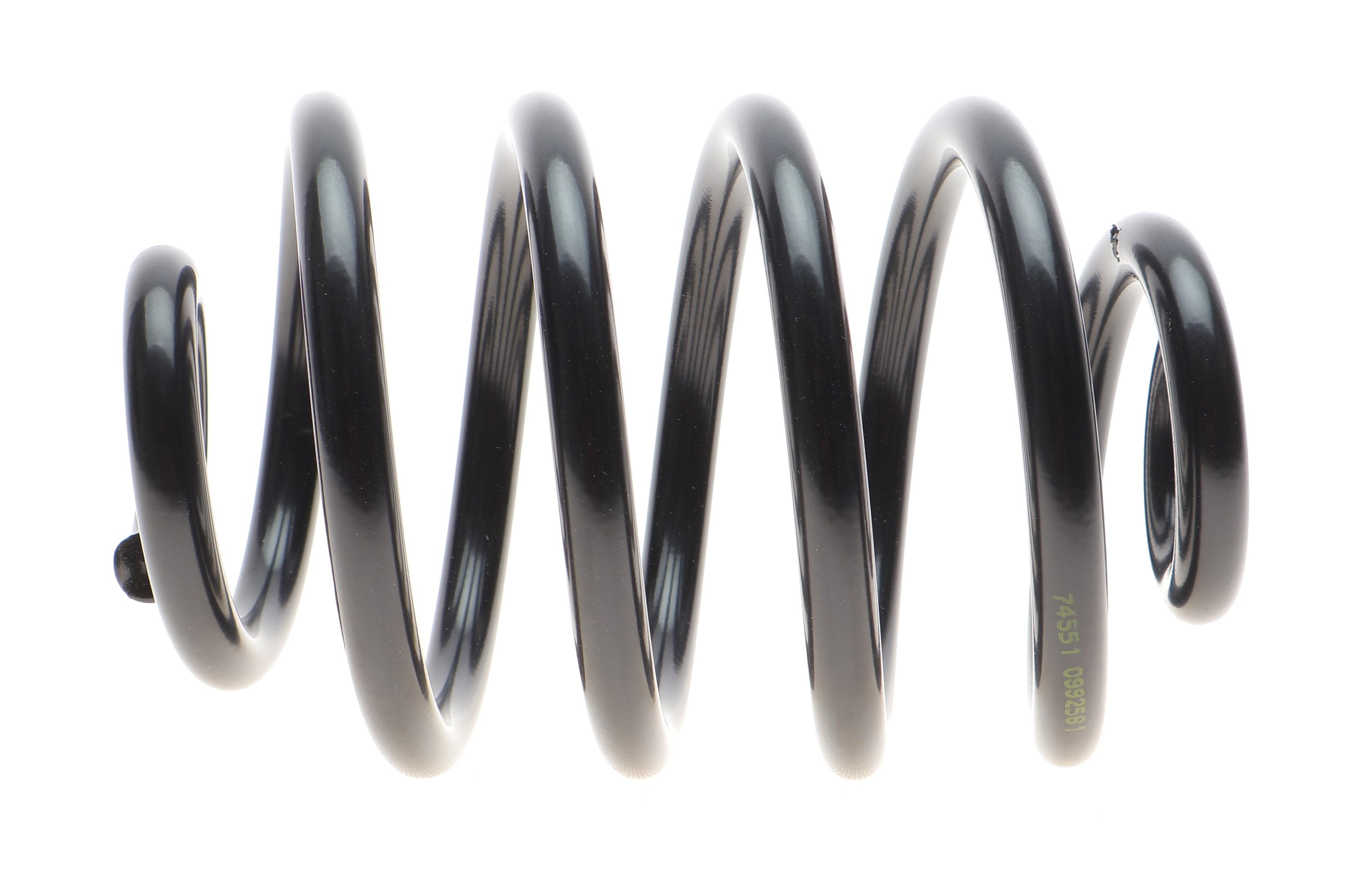 Пружина (задня) Renault Clio II 1.2-2.0/1.5dCi/1.9D/dTi 98- (фургон/накл.з.ч) (з пост.діам.) (HD)